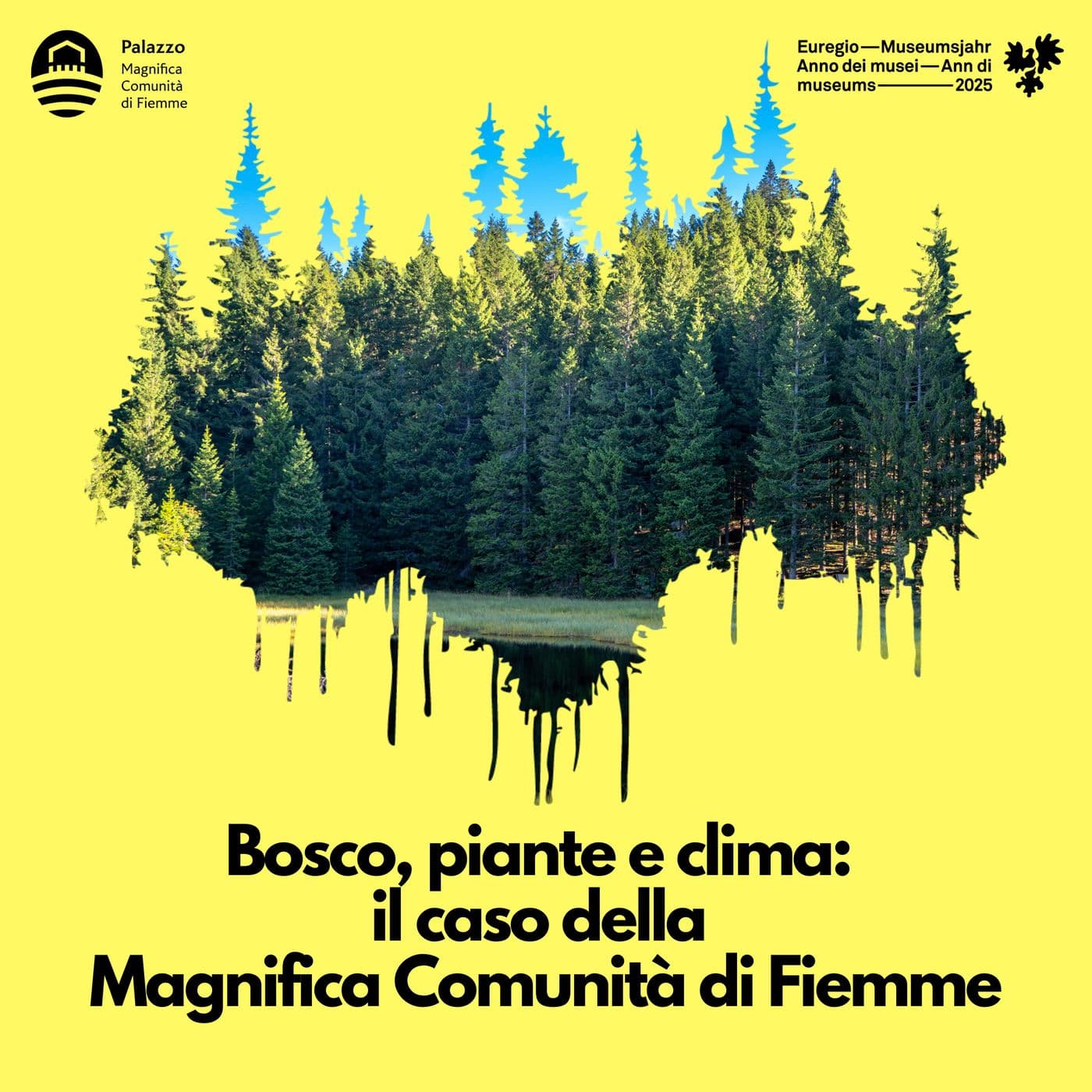 Bosco, piante e clima: il caso della Magnifica Comunità di Fiemme - Podcasts