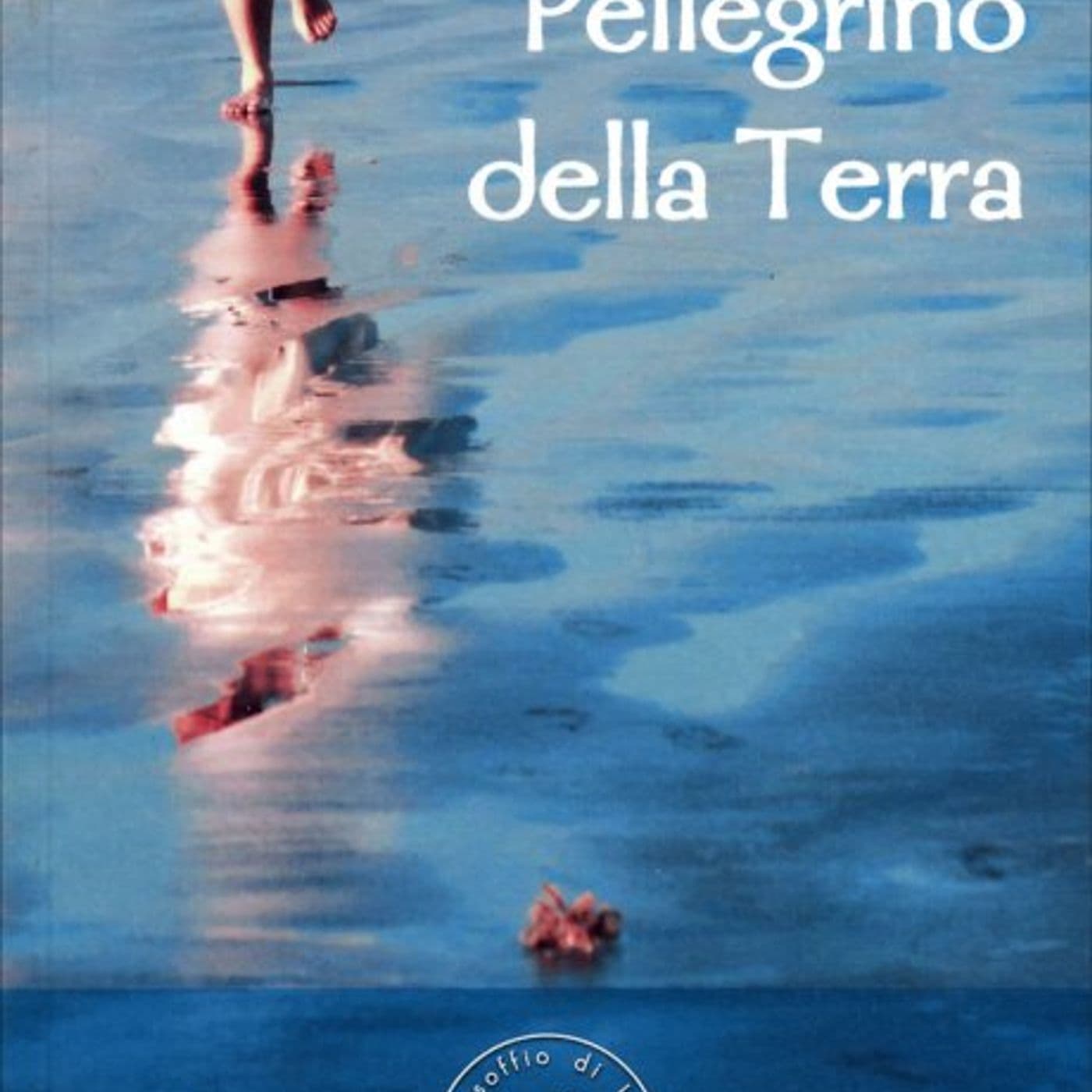 PELLEGRINO DELLA TERRA di Satish Kumar - Podcasts