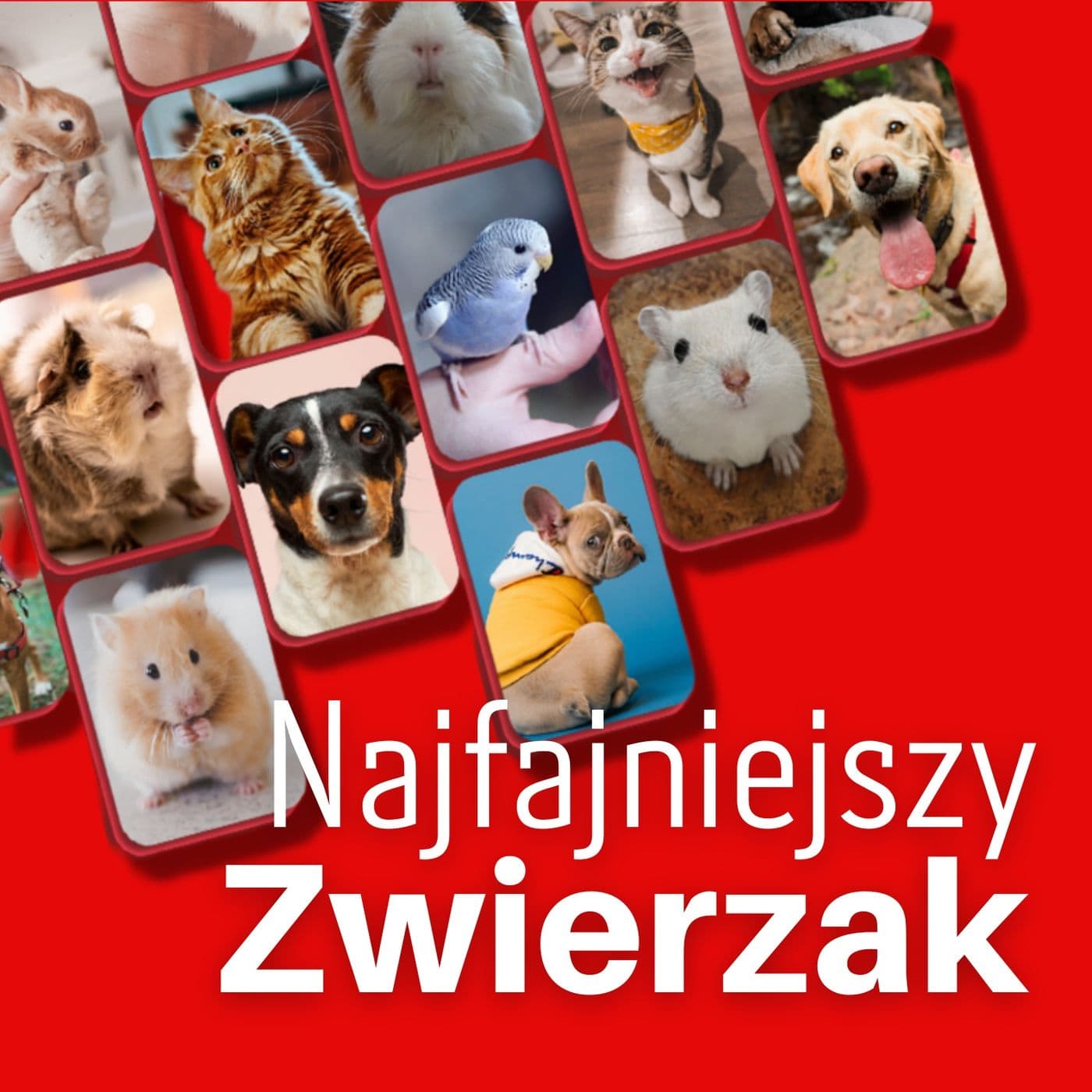 Najfajniejszy Zwierzak - Podcasts