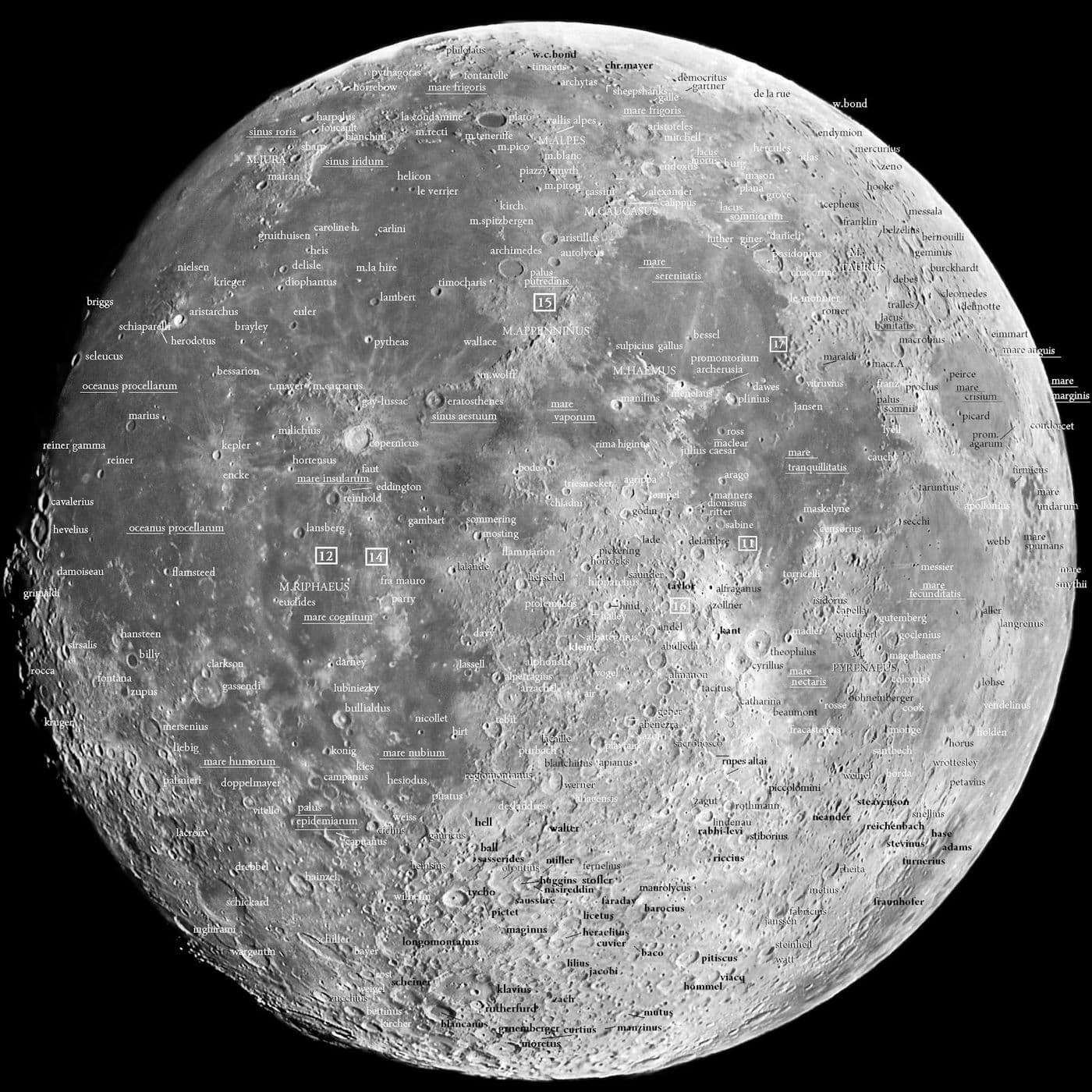 Lunari - Podcasts