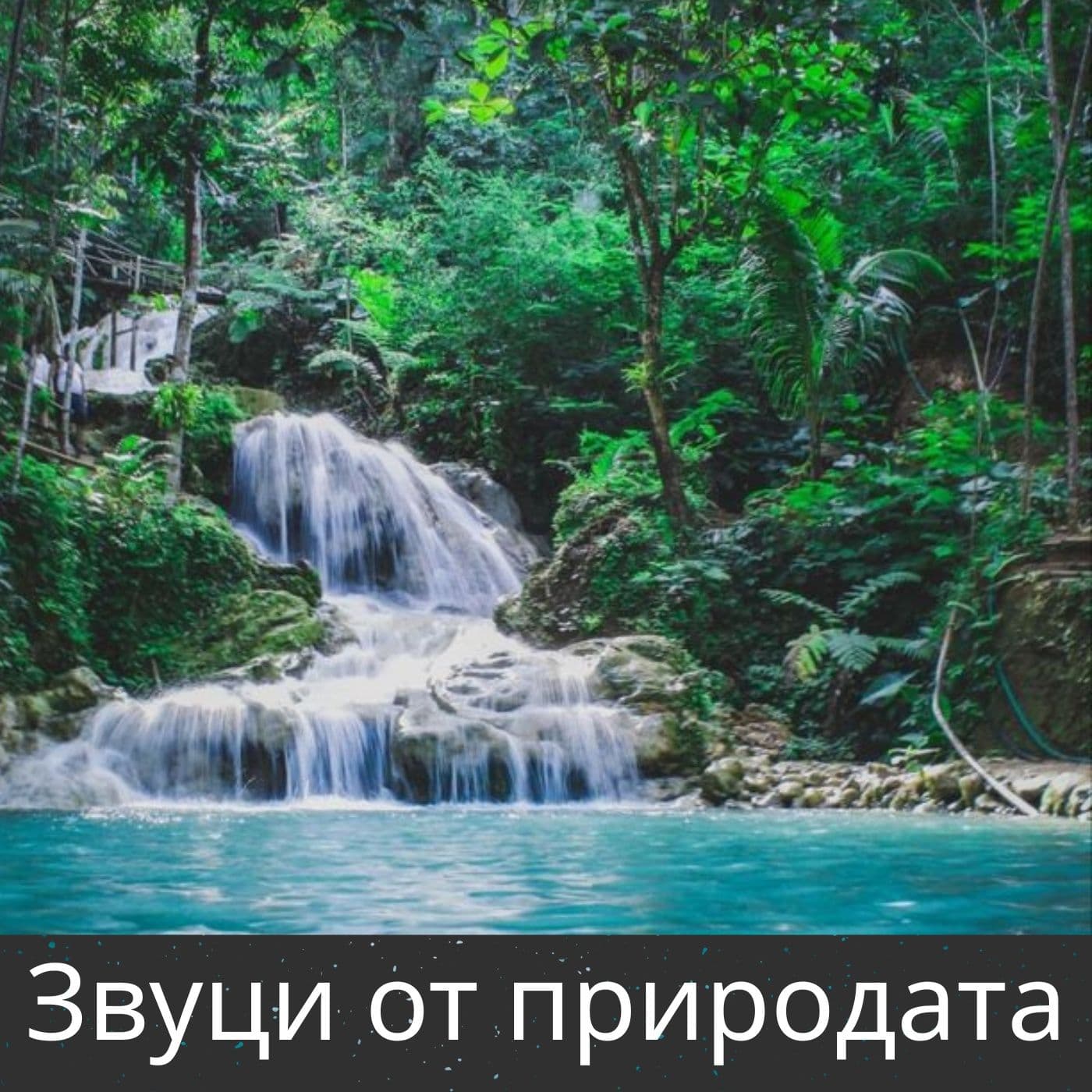 Звуци от природата - Podcasts
