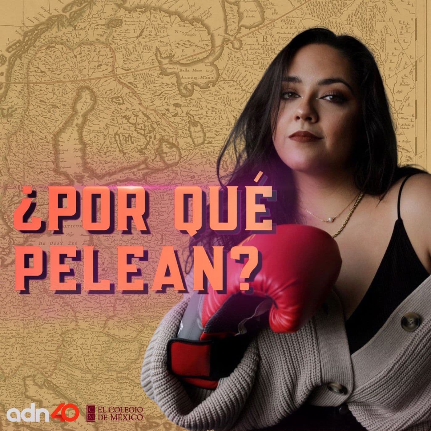 ¿Por qué pelean? - Podcasts