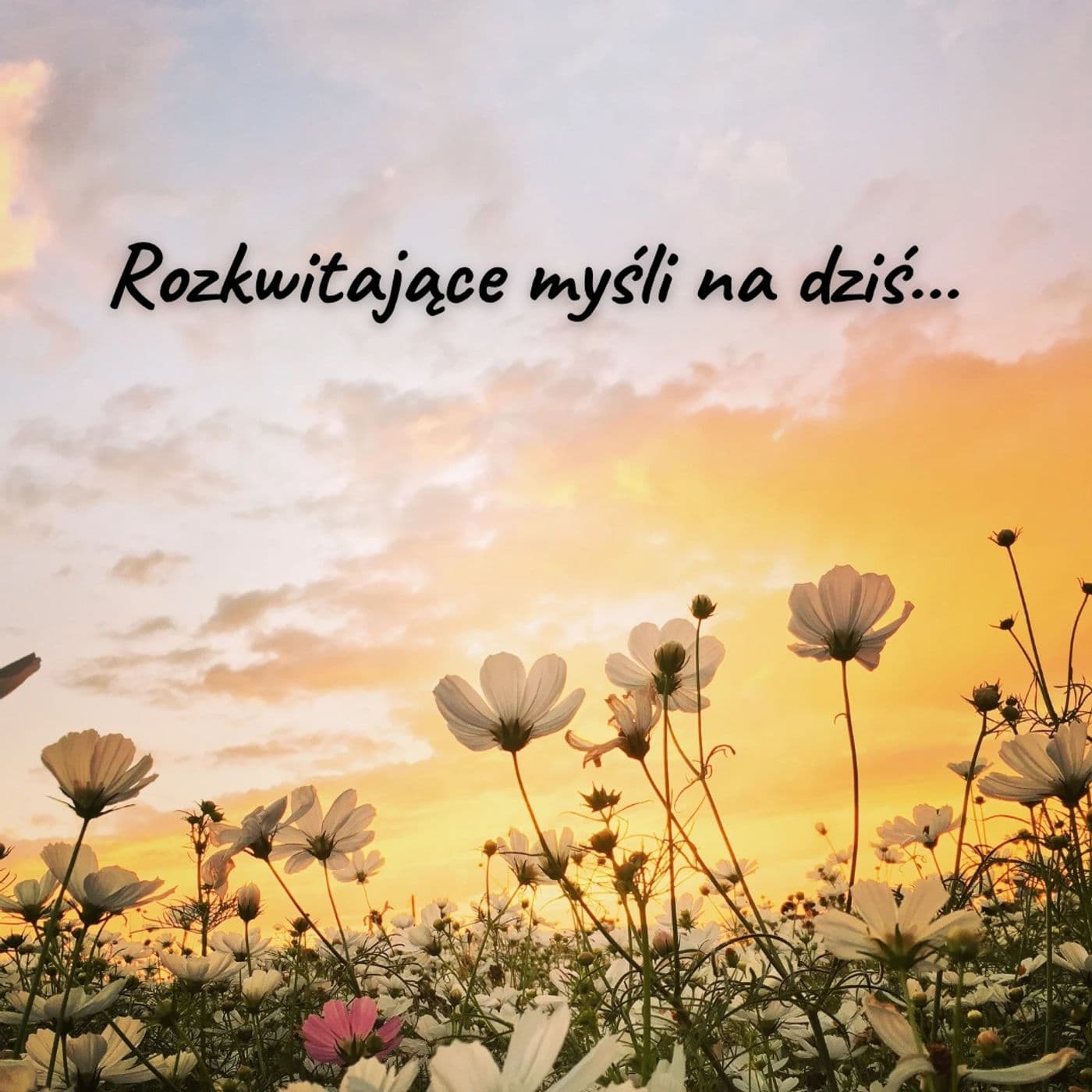 Rozkwitające myśli - Podcasts
