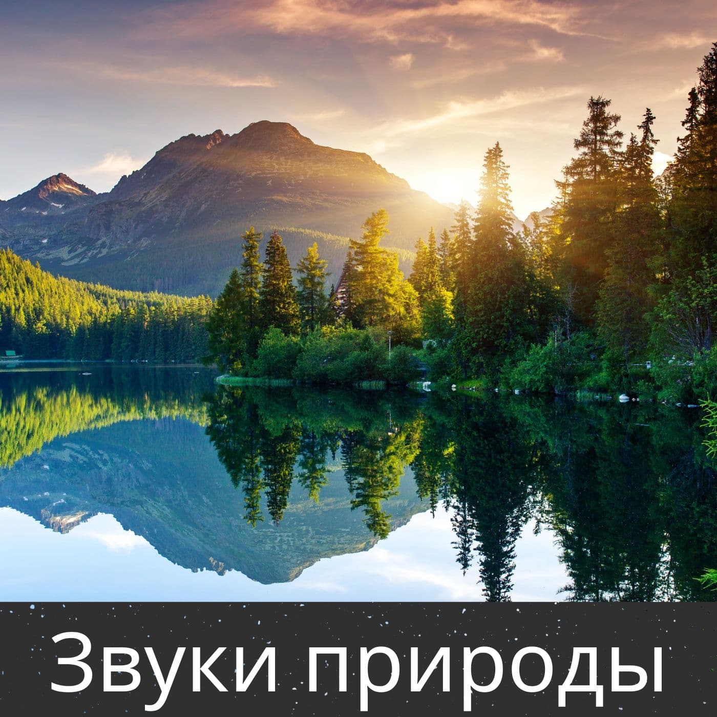 Звуки природы - Podcasts