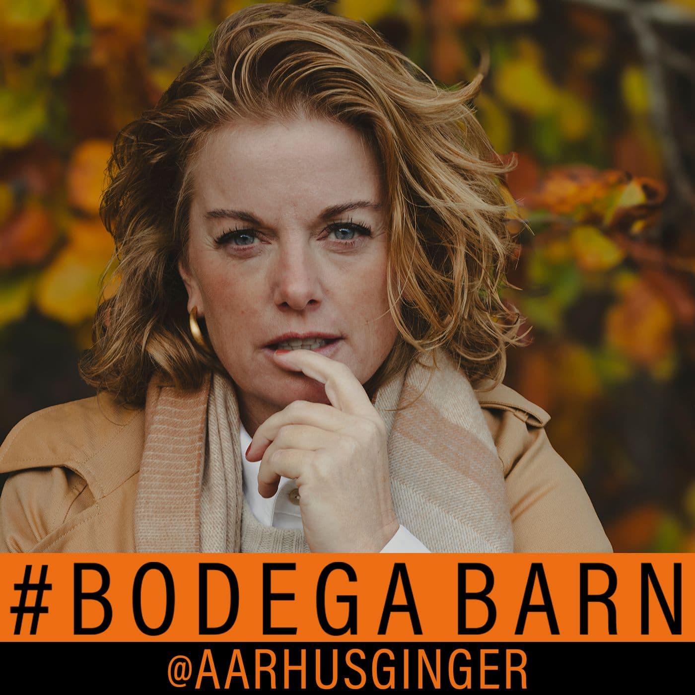 BODEGABARN - Podcasts