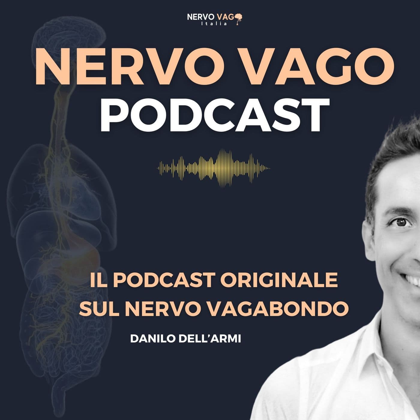 Nervo Vago Podcast - Podcasts