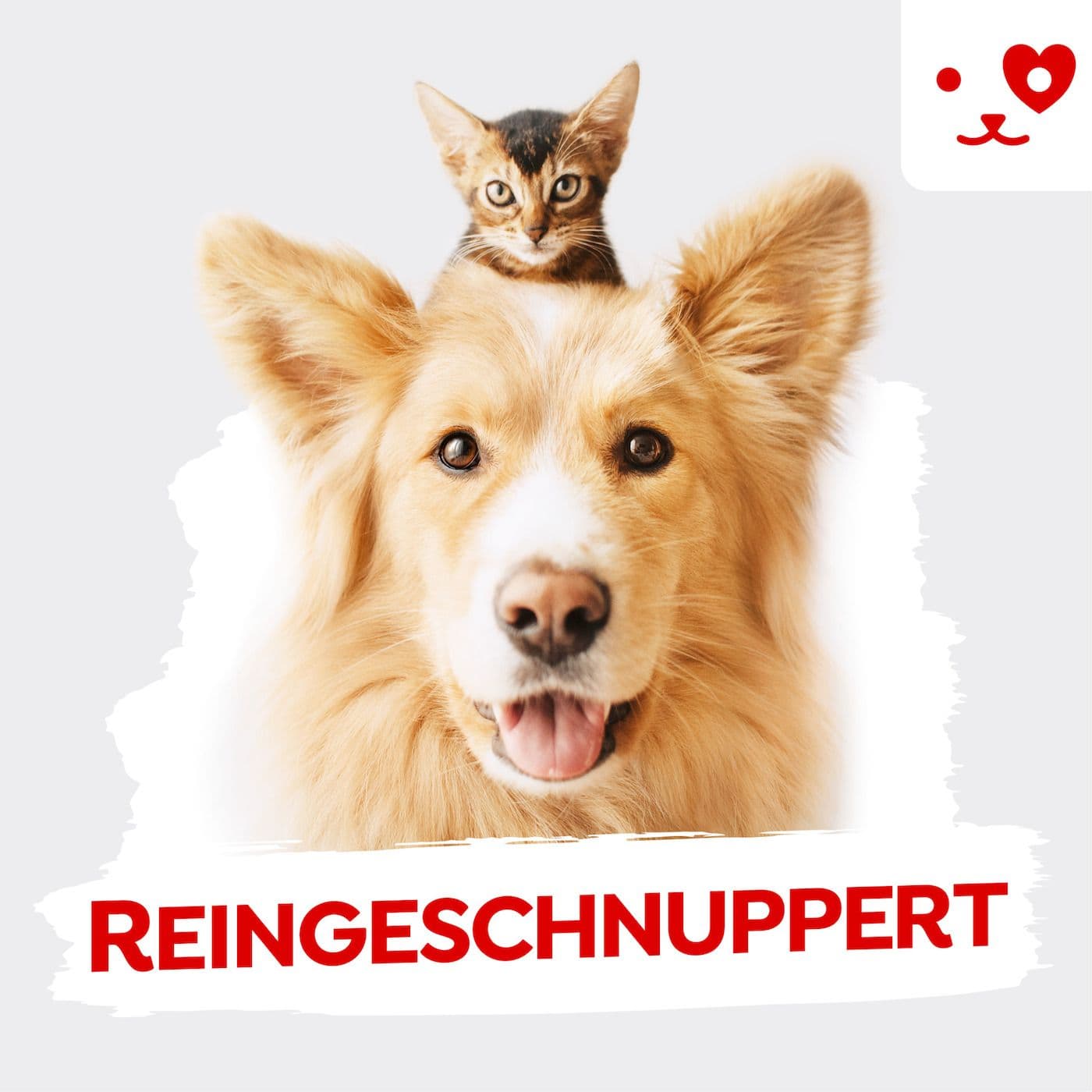 Reingeschnuppert - Podcasts