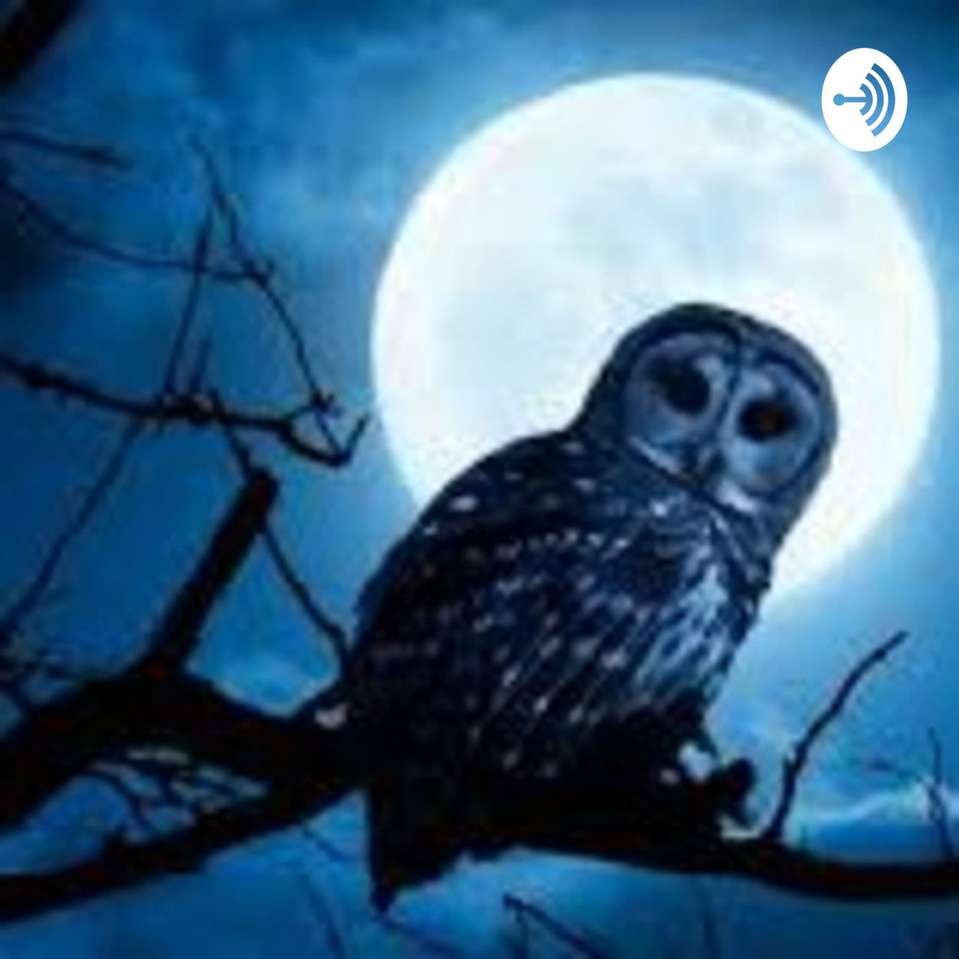 Cerita Misteri & Seram - Podcasts