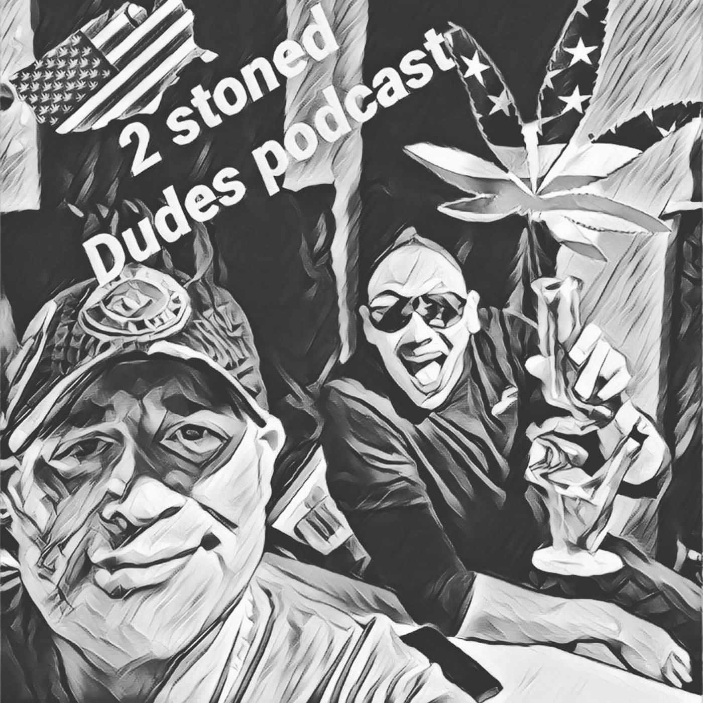 2 Stoned Dudes Podcast - Podcasts