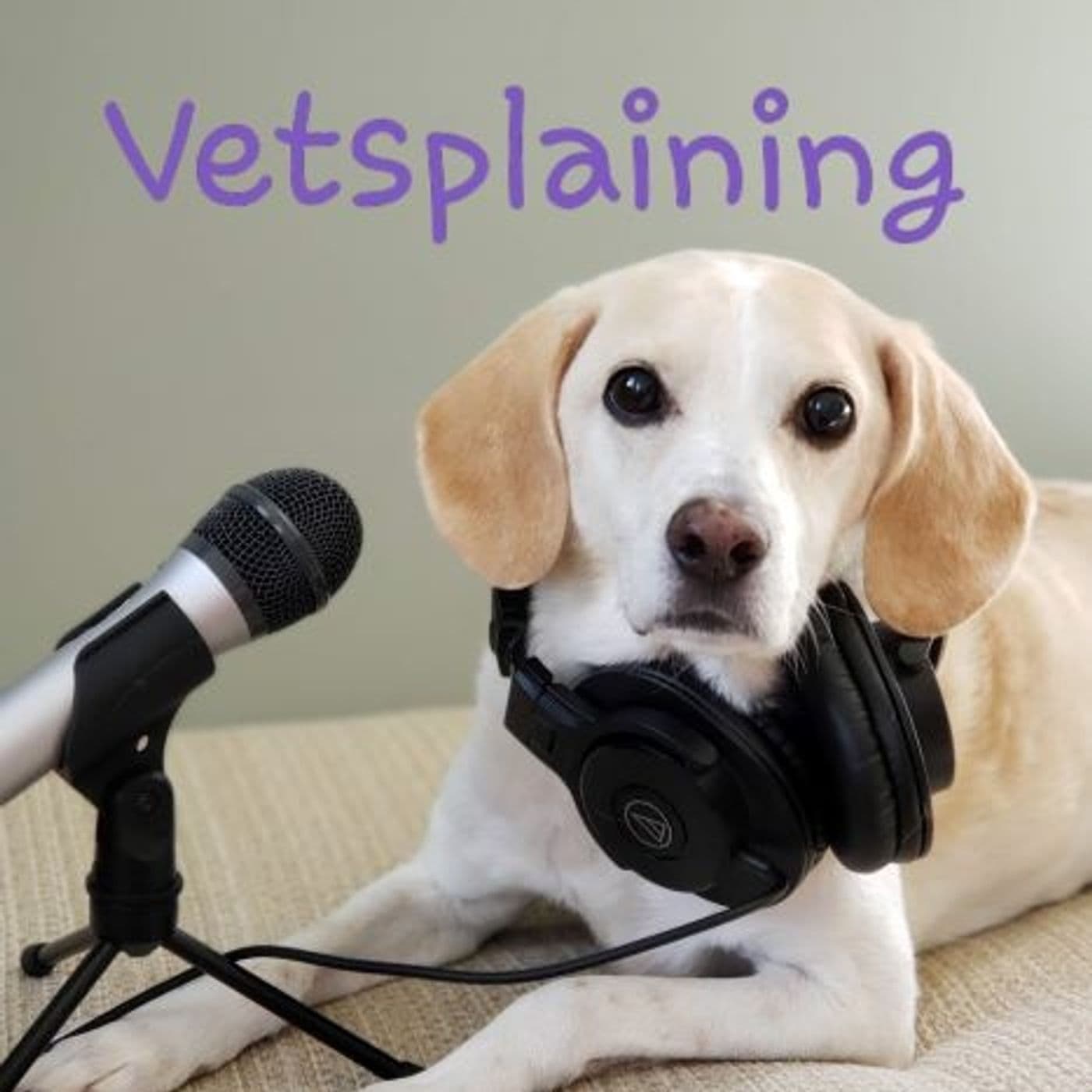 Vetsplaining - Podcasts