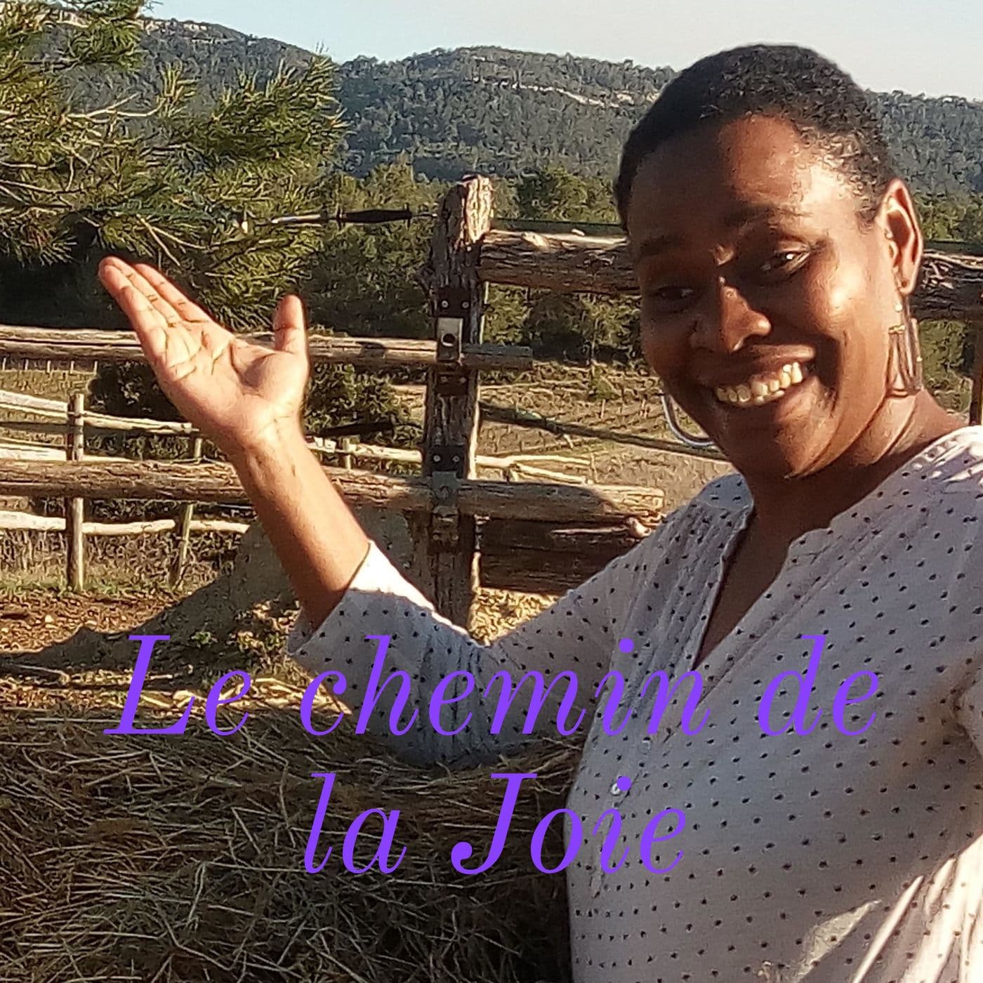 Le chemin de la Joie (intérieure) - Podcasts