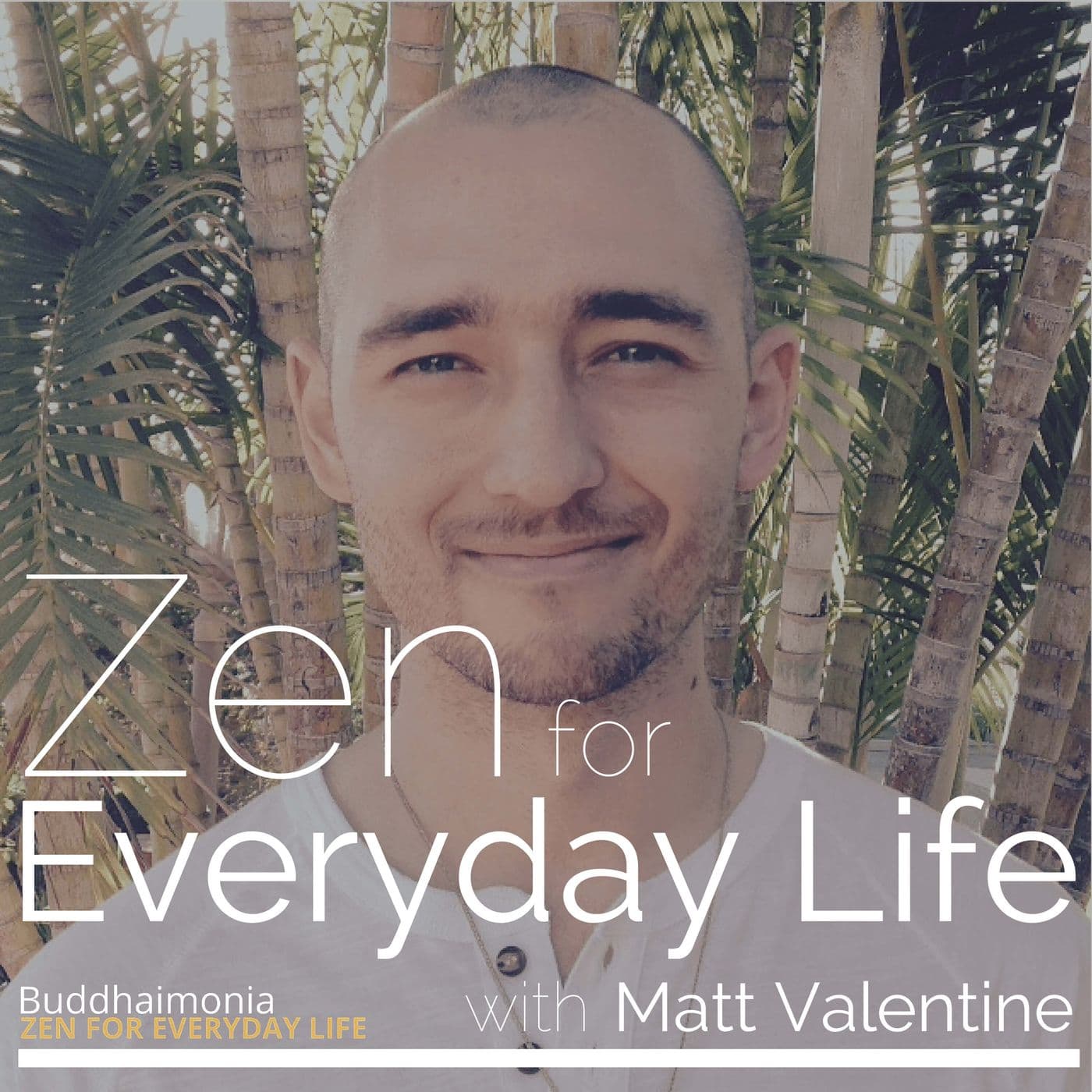 Zen for Everyday Life with Matt Valentine: Mindfulness | Guided Meditation | Finding Peace in the Pr - Podcasts