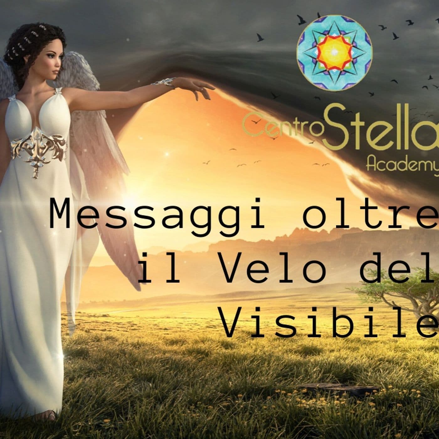 Messaggi oltre il Velo del Visibile a cura di Sabrina Beretta - Podcasts