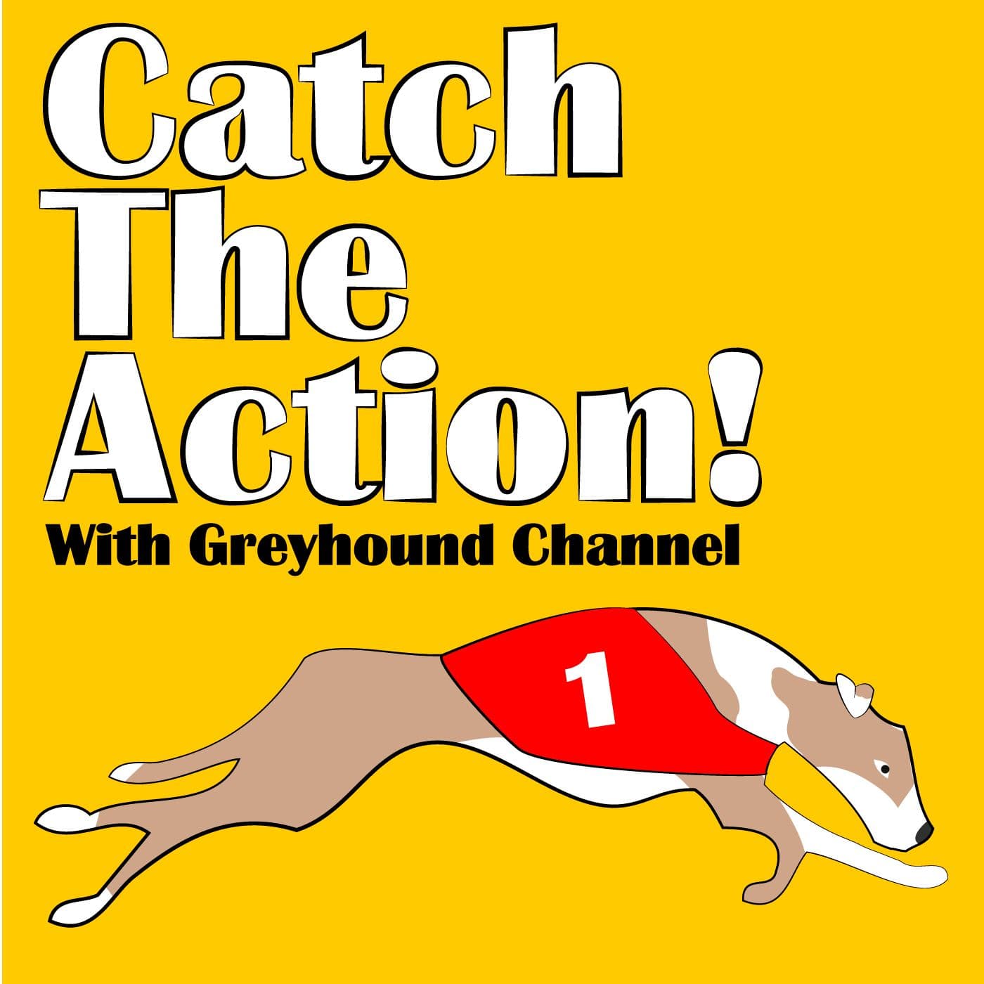 Catch The Action! - Podcasts