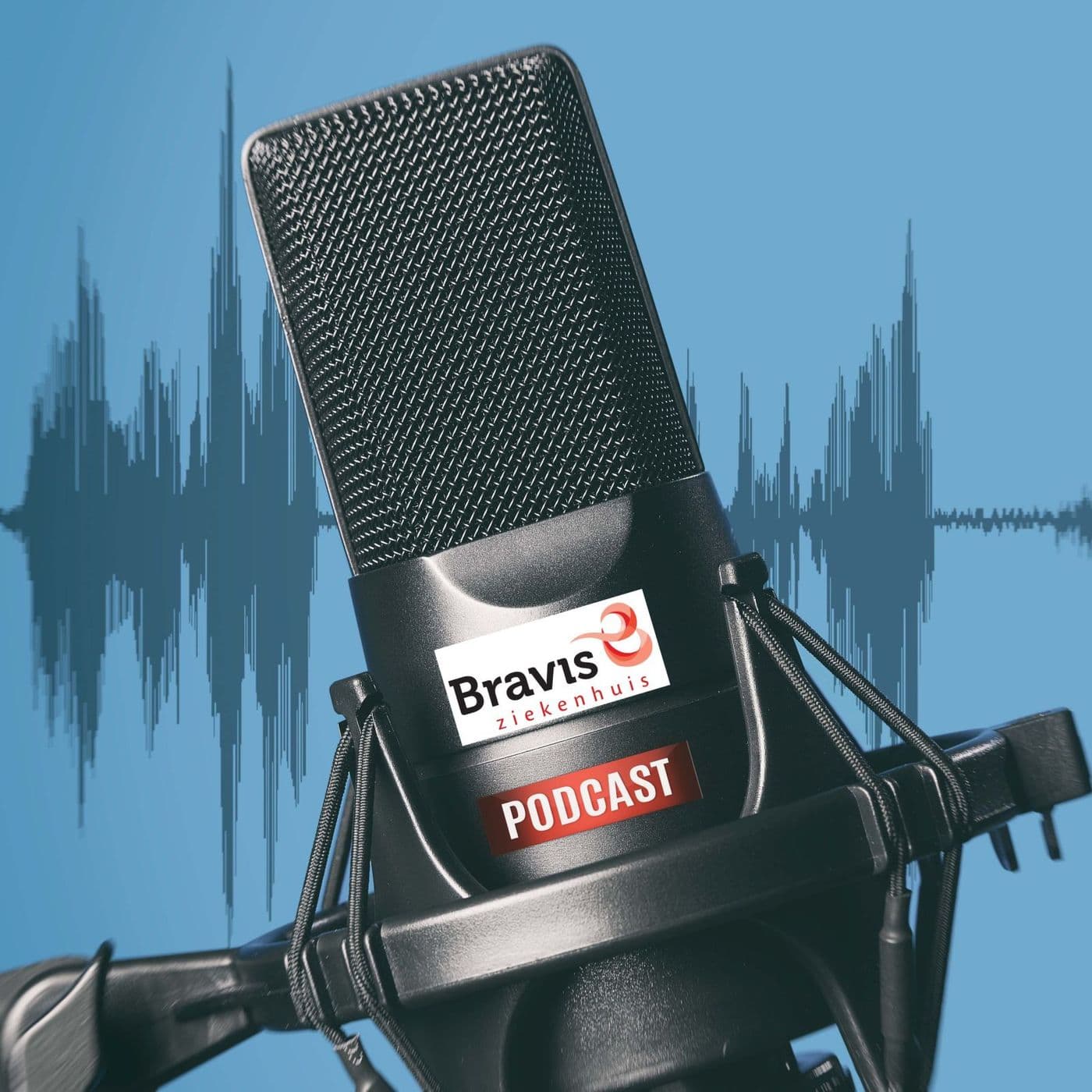 Bravis Podcast - Podcasts
