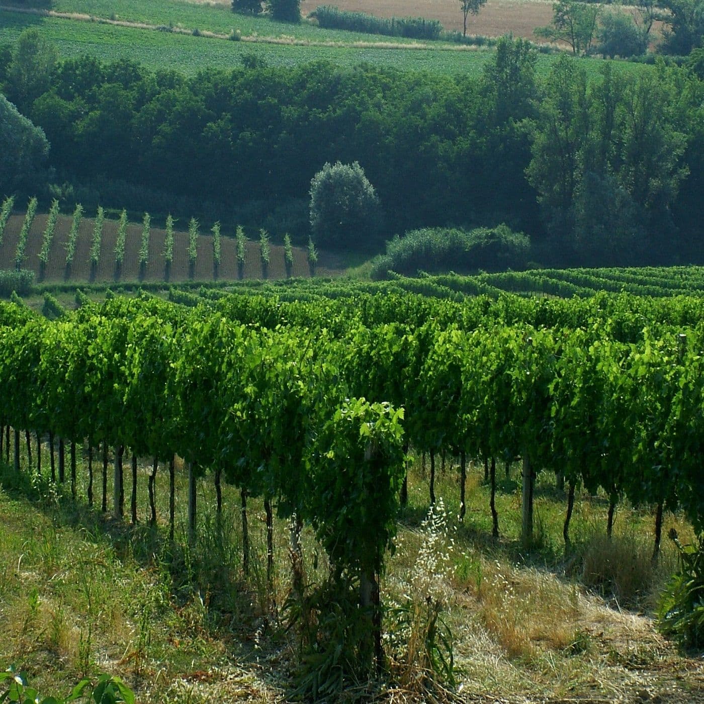Un giorno in Romagna - Podcasts