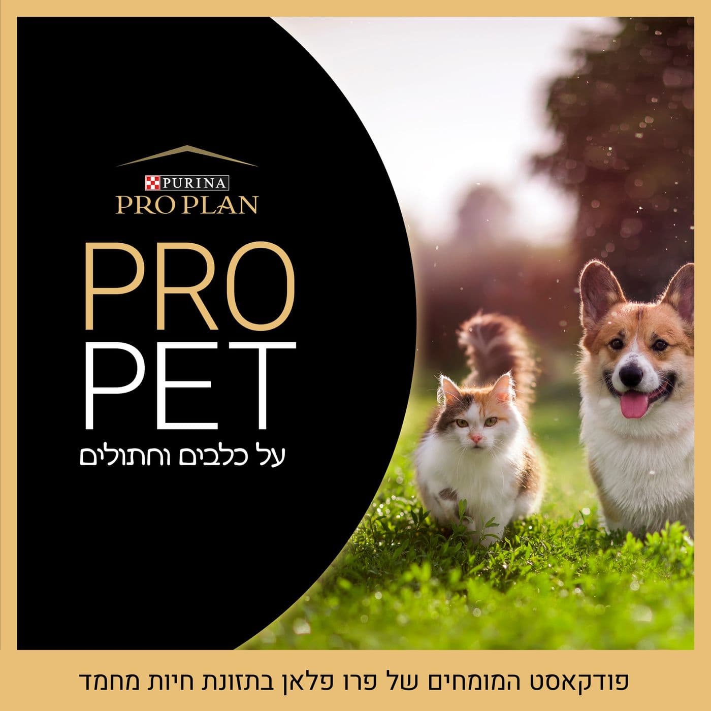 PROPET - על כלבים וחתולים - Podcasts