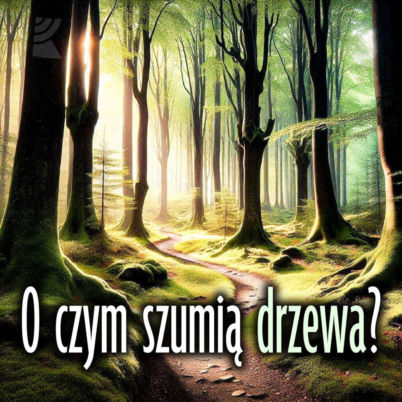 O czym szumią drzewa? - Podcasts