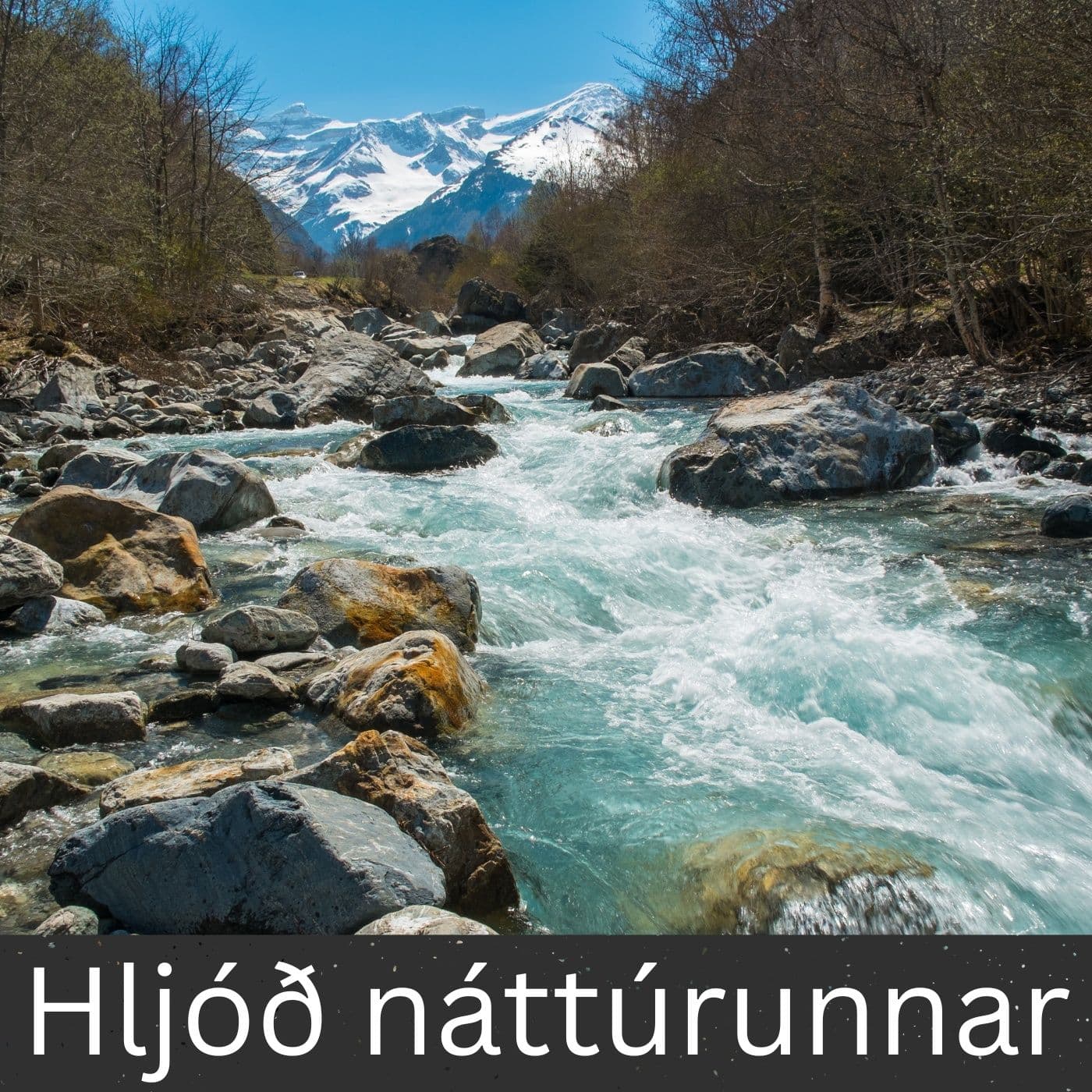Hljóð náttúrunnar - Podcasts