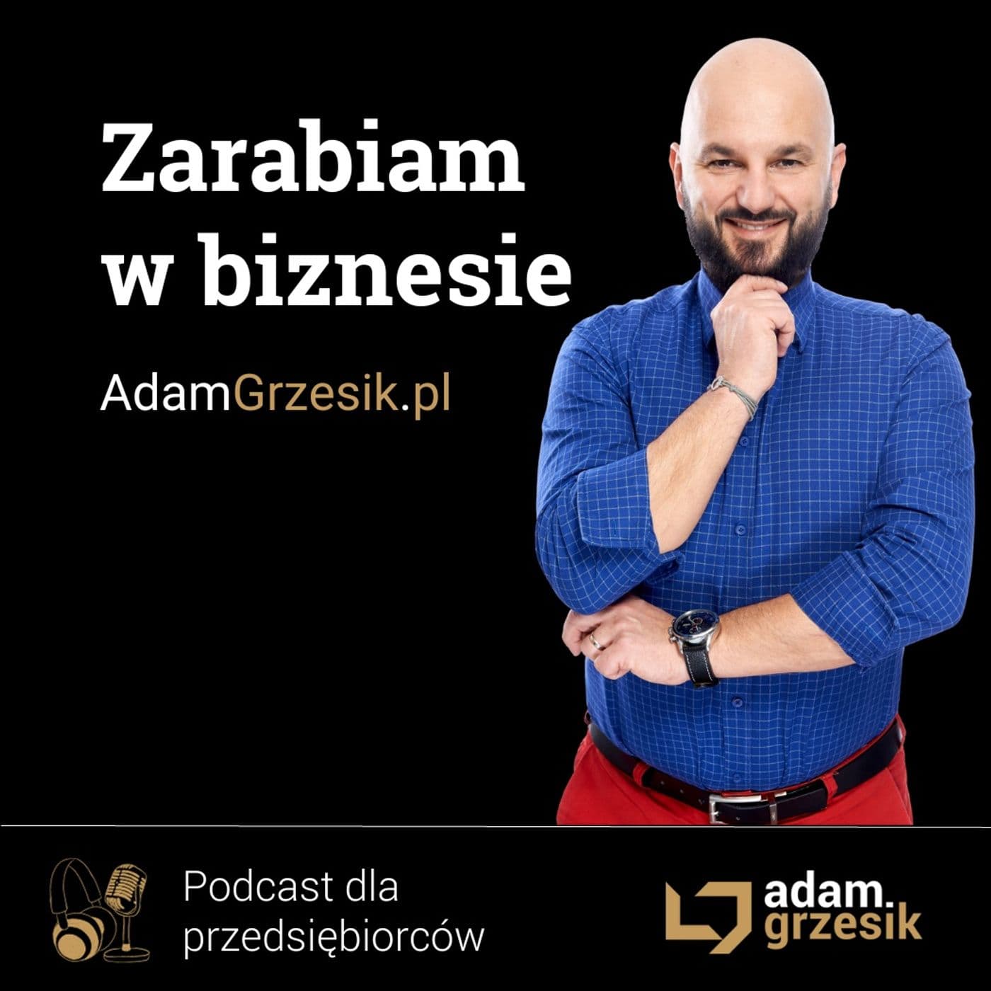 Zarabiam w Biznesie - Podcasts