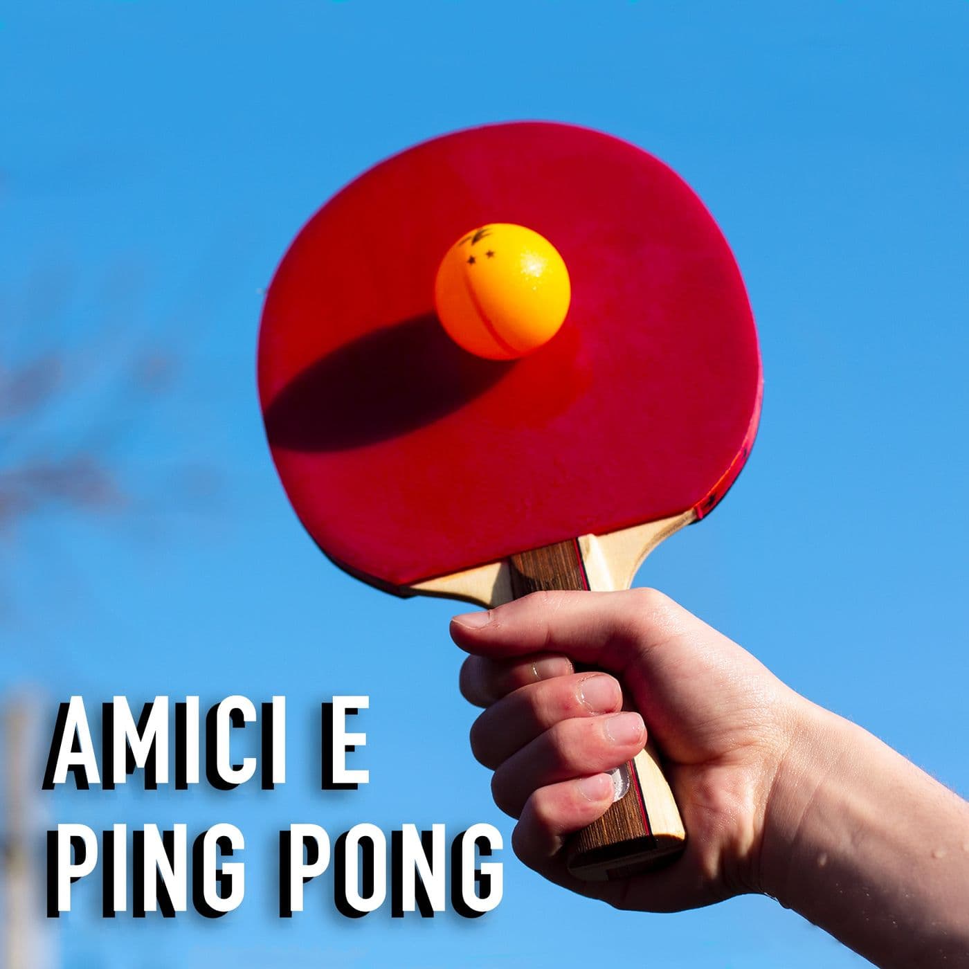 Amici e Ping Pong - Podcasts