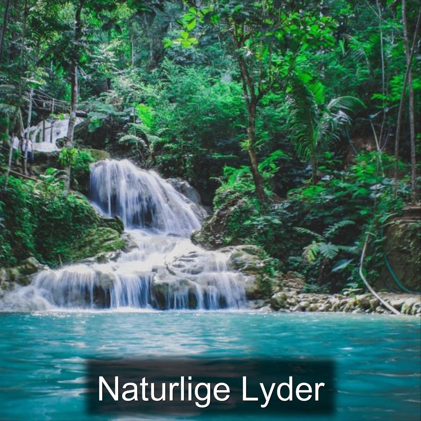 Naturlige Lyder - Podcasts