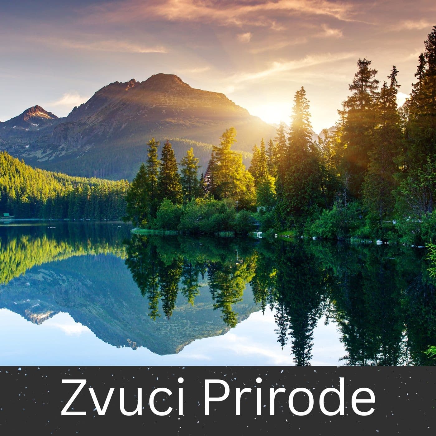 Zvuci Prirode - Podcasts