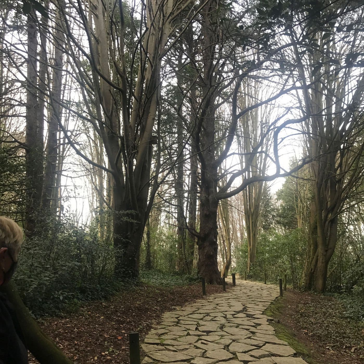 Paseo sin filtros - Filtrorik gabeko ibilbidea