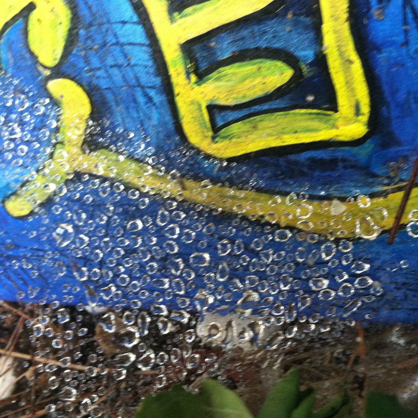 Tammski's tracks