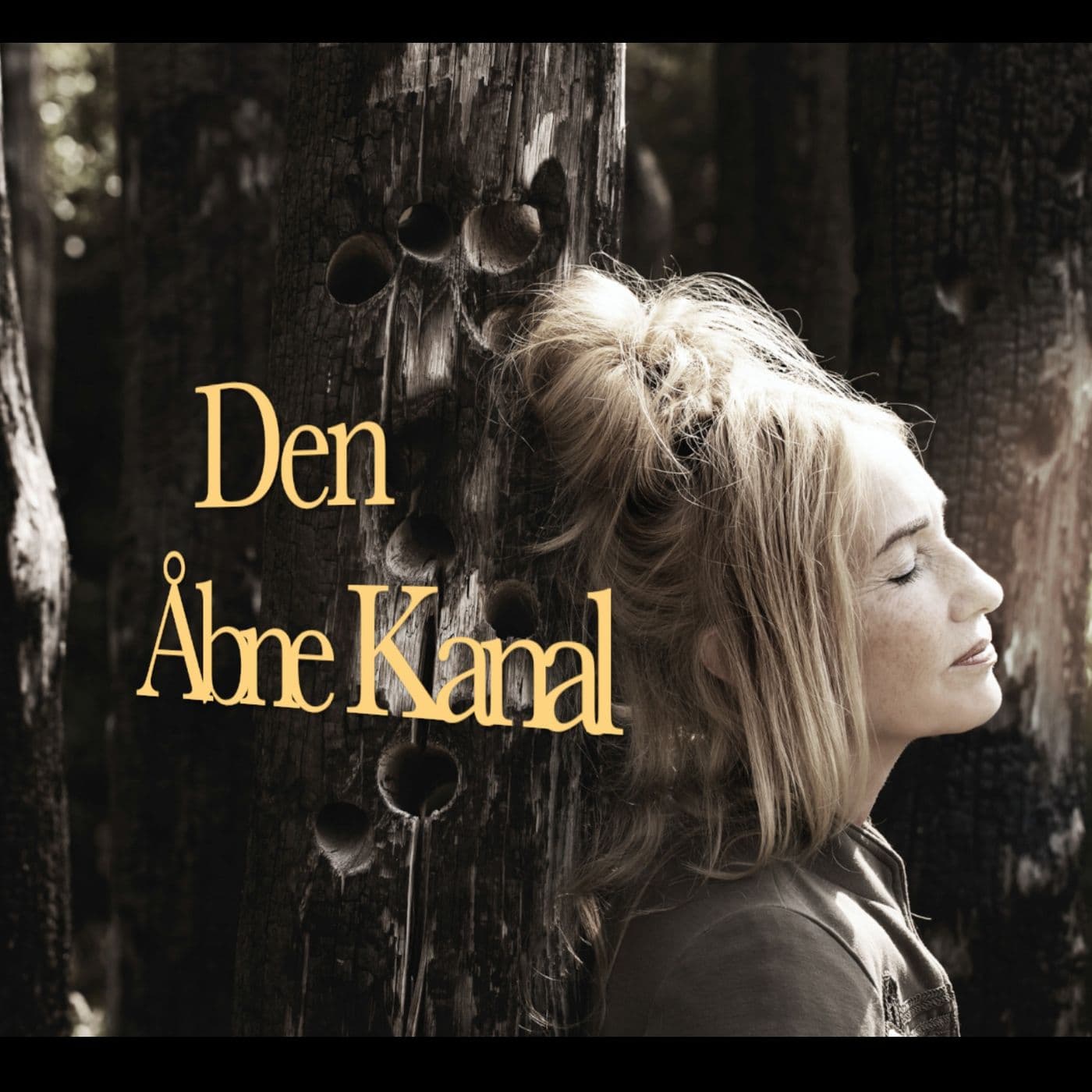 Den Åbne Kanal - Podcasts