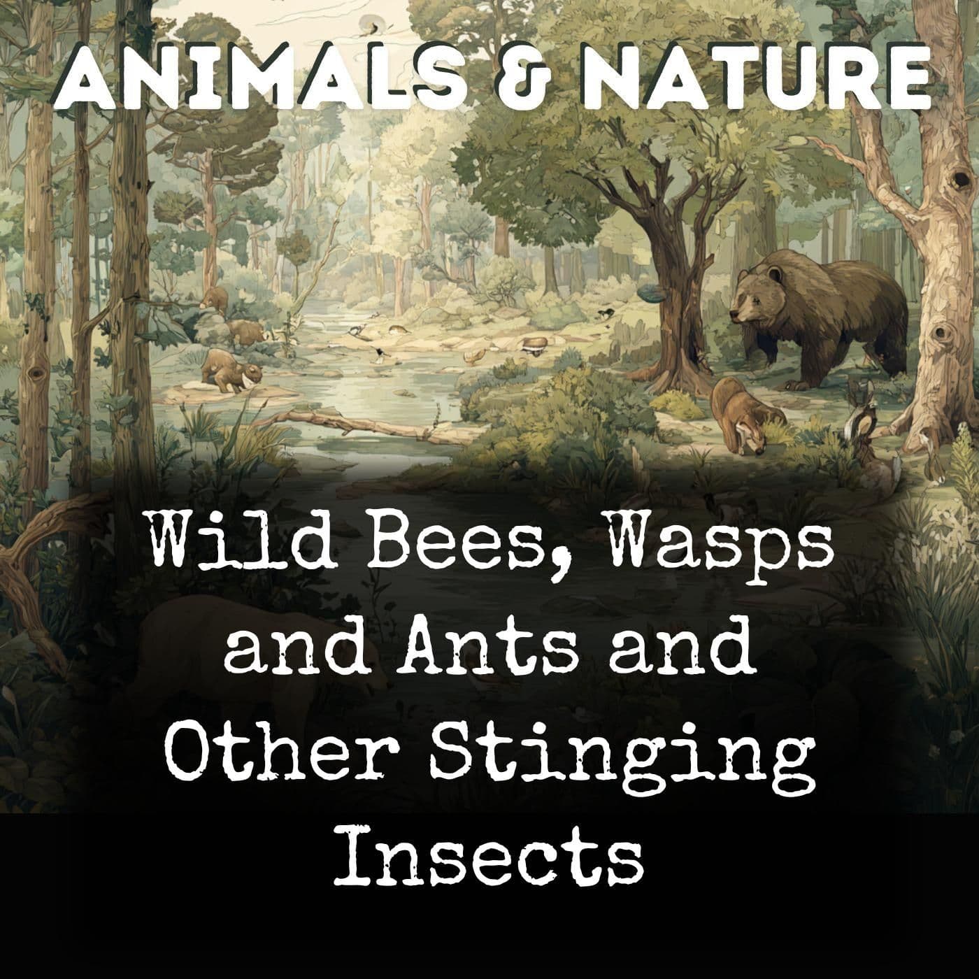 Wild Bees, Wasps and Ants and Other Stinging Insects - Podcasts
