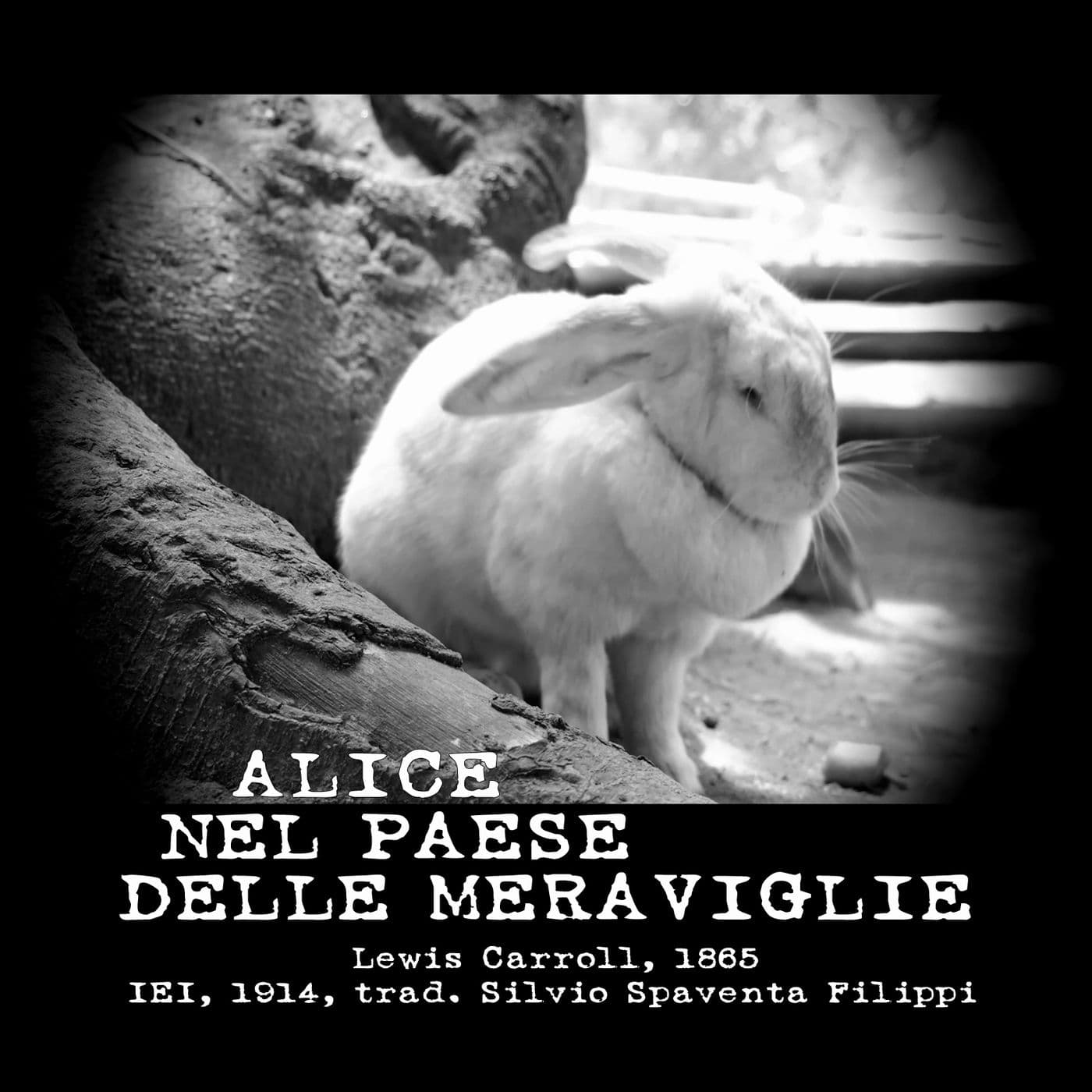 Alice nel paese delle meraviglie - Libro