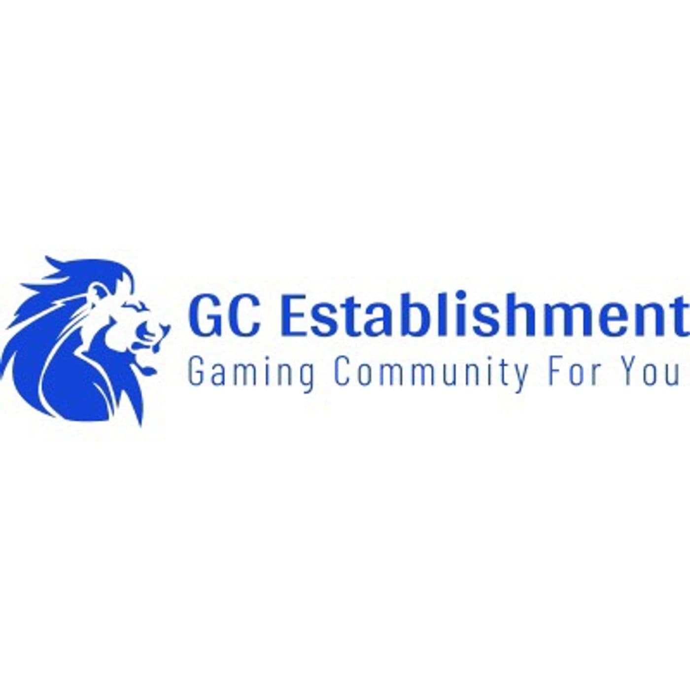 Gaming Community Establishment