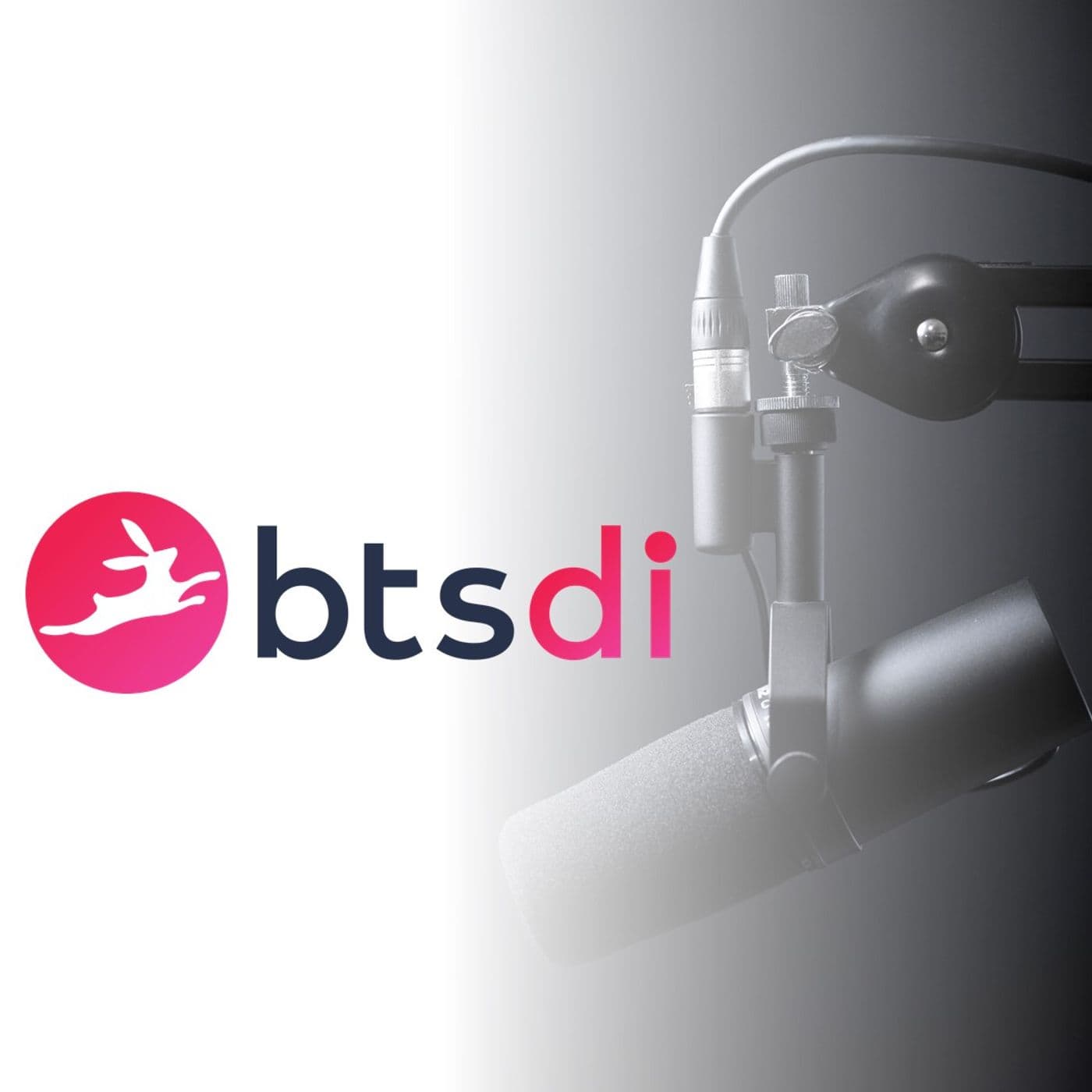 BTSDI podcast - Podcasts