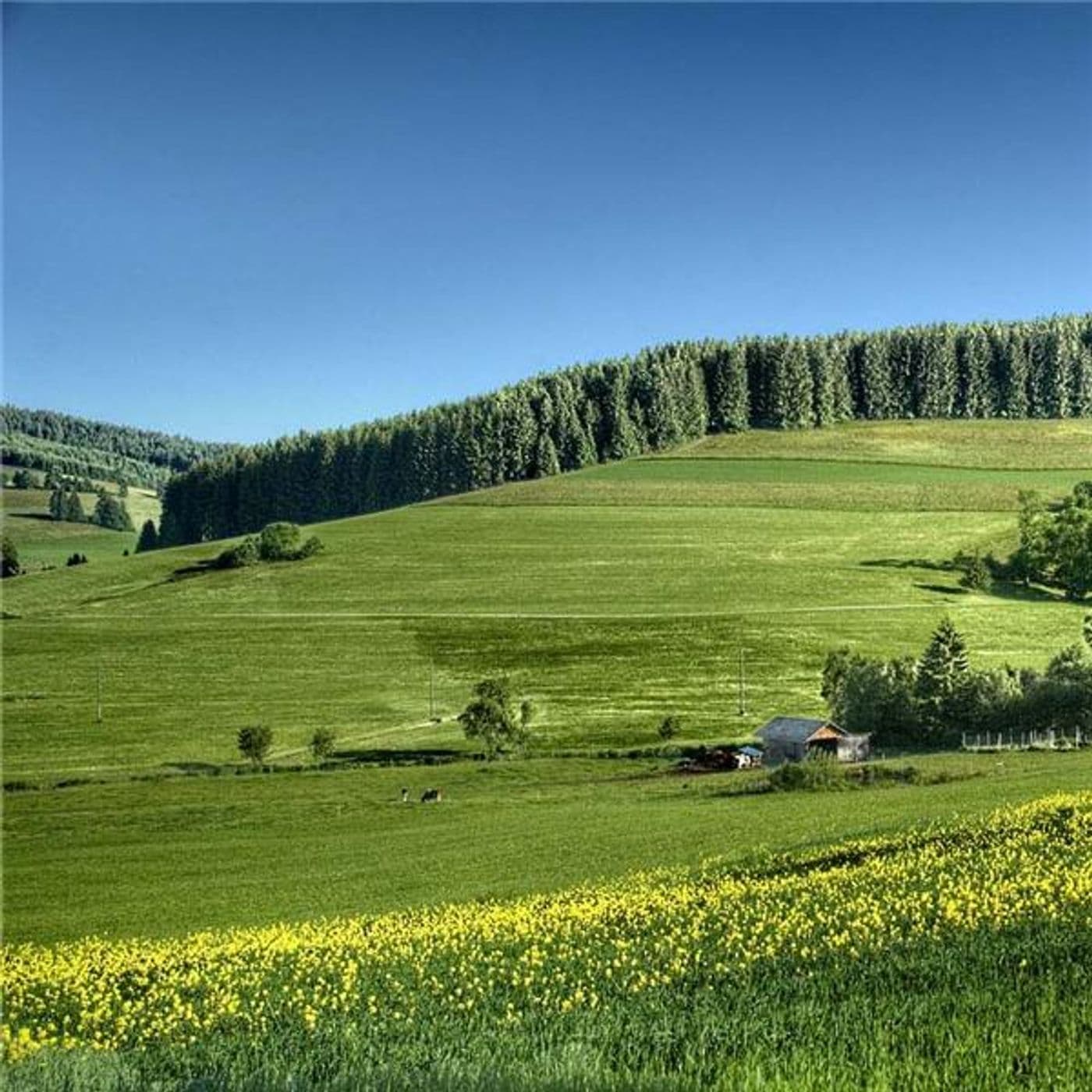 Living Off The Grid Radio - Podcasts