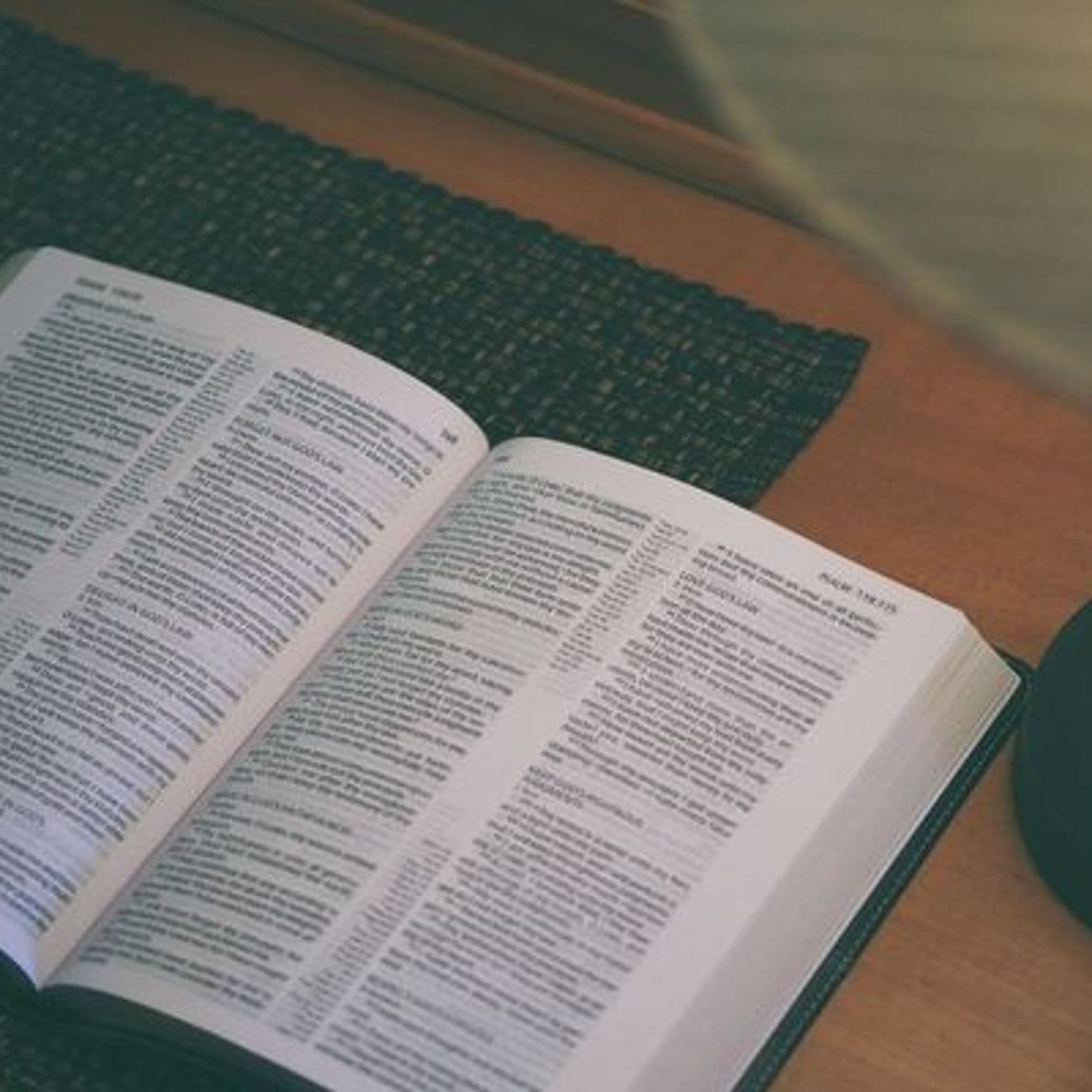 La Biblia Diaria - Podcasts