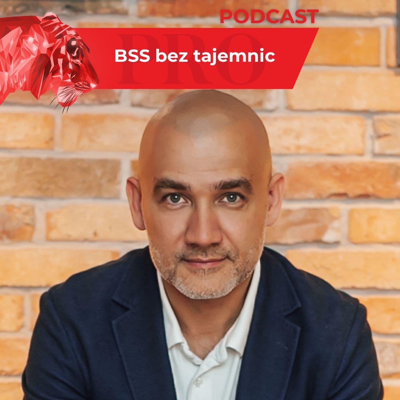 BSS bez tajemnic - Podcasts
