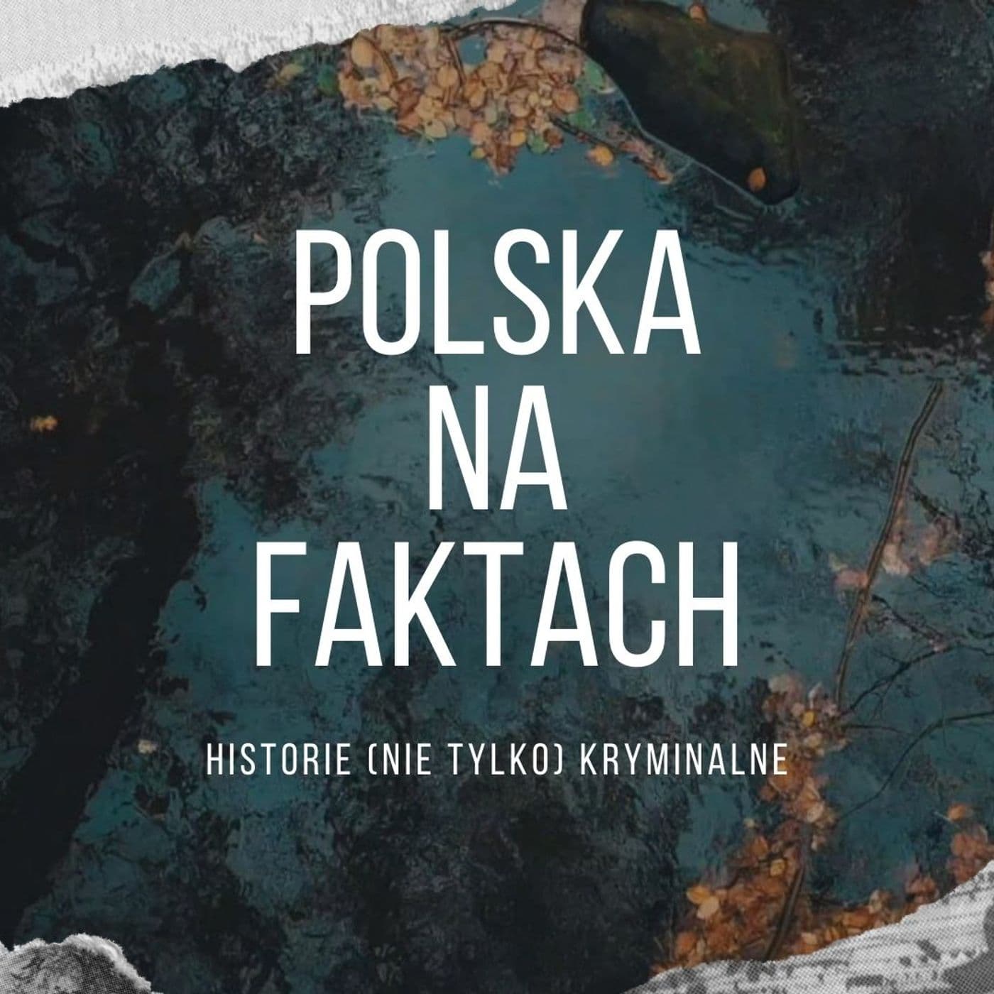 Polska na Faktach - Historie (nie tylko) Kryminalne - Podcasts