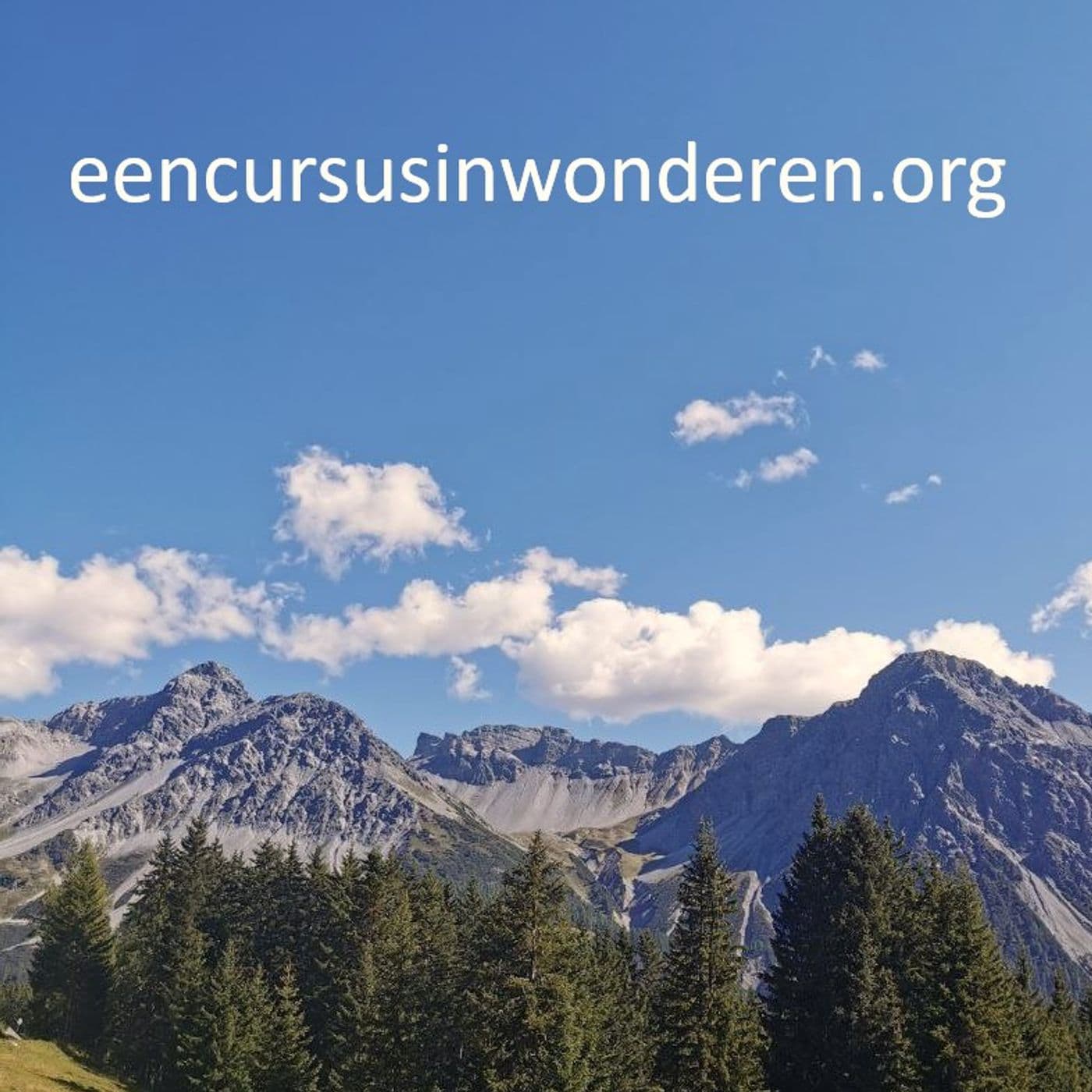 De Stem - Podcasts