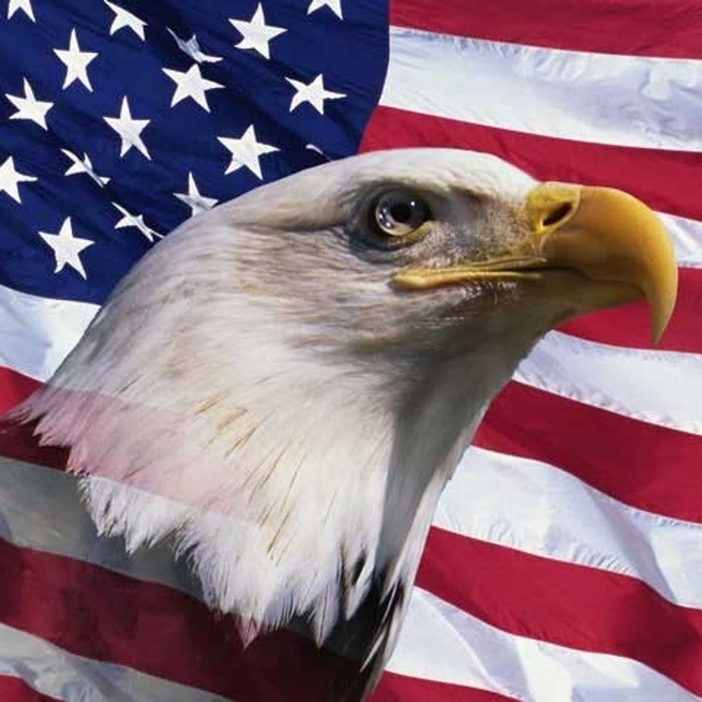 America - BastaBugie.it