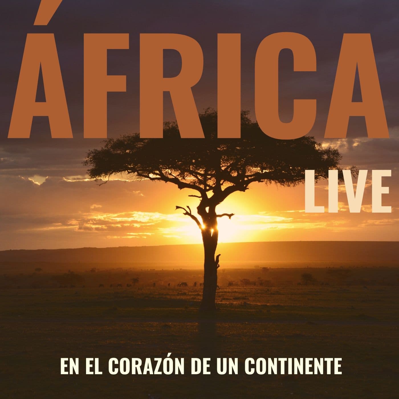 ÁFRICA LIVE - Podcasts