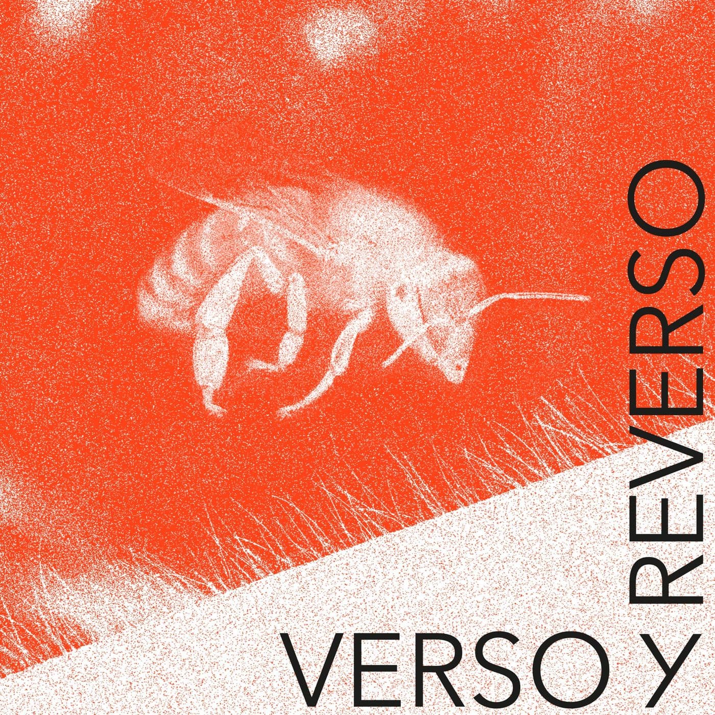 Verso y Reverso - Podcasts