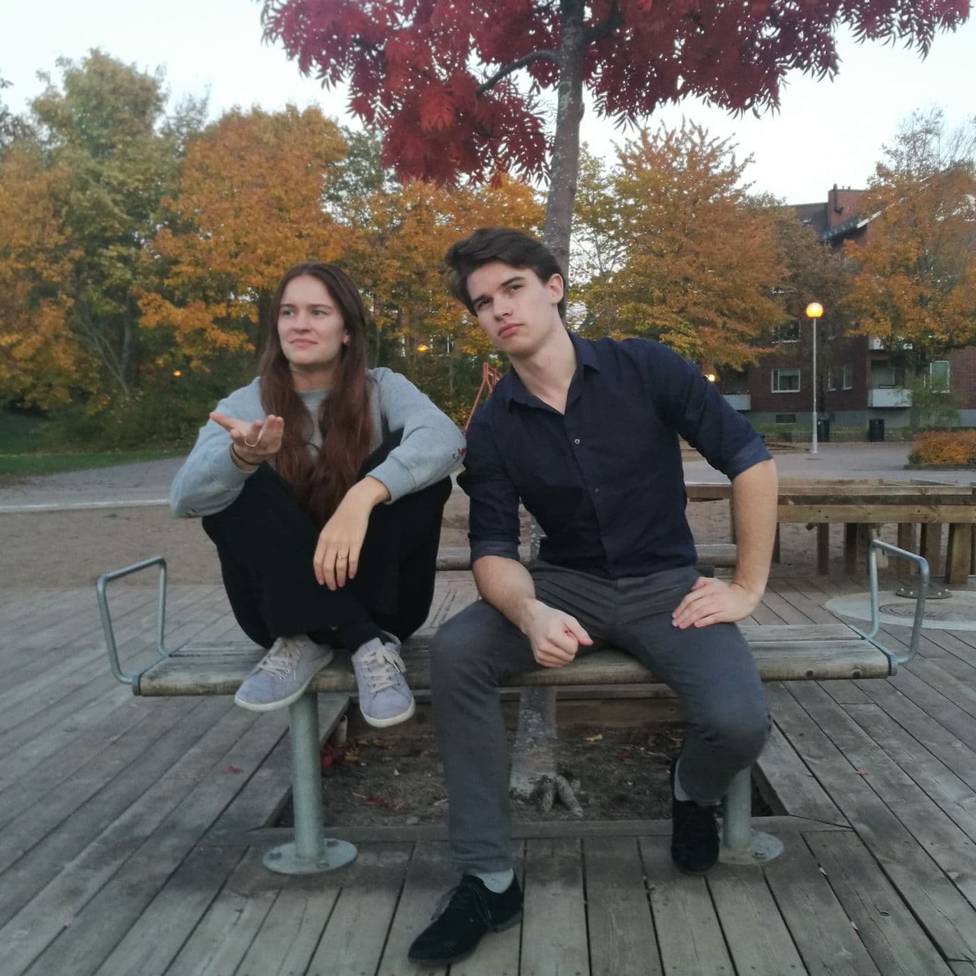Hönan och Hartvig
