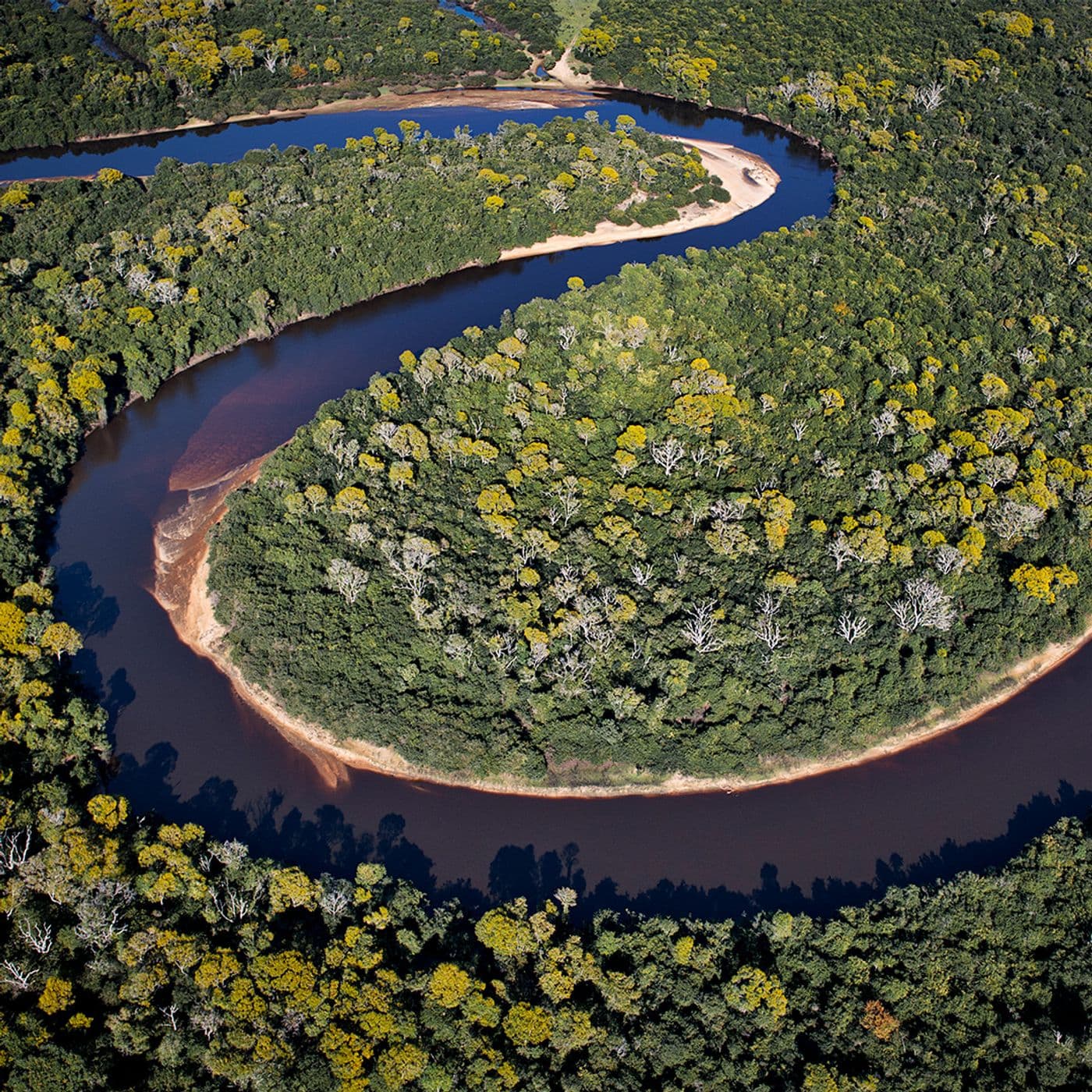 Exposição: Água Pantanal Fogo - Podcasts