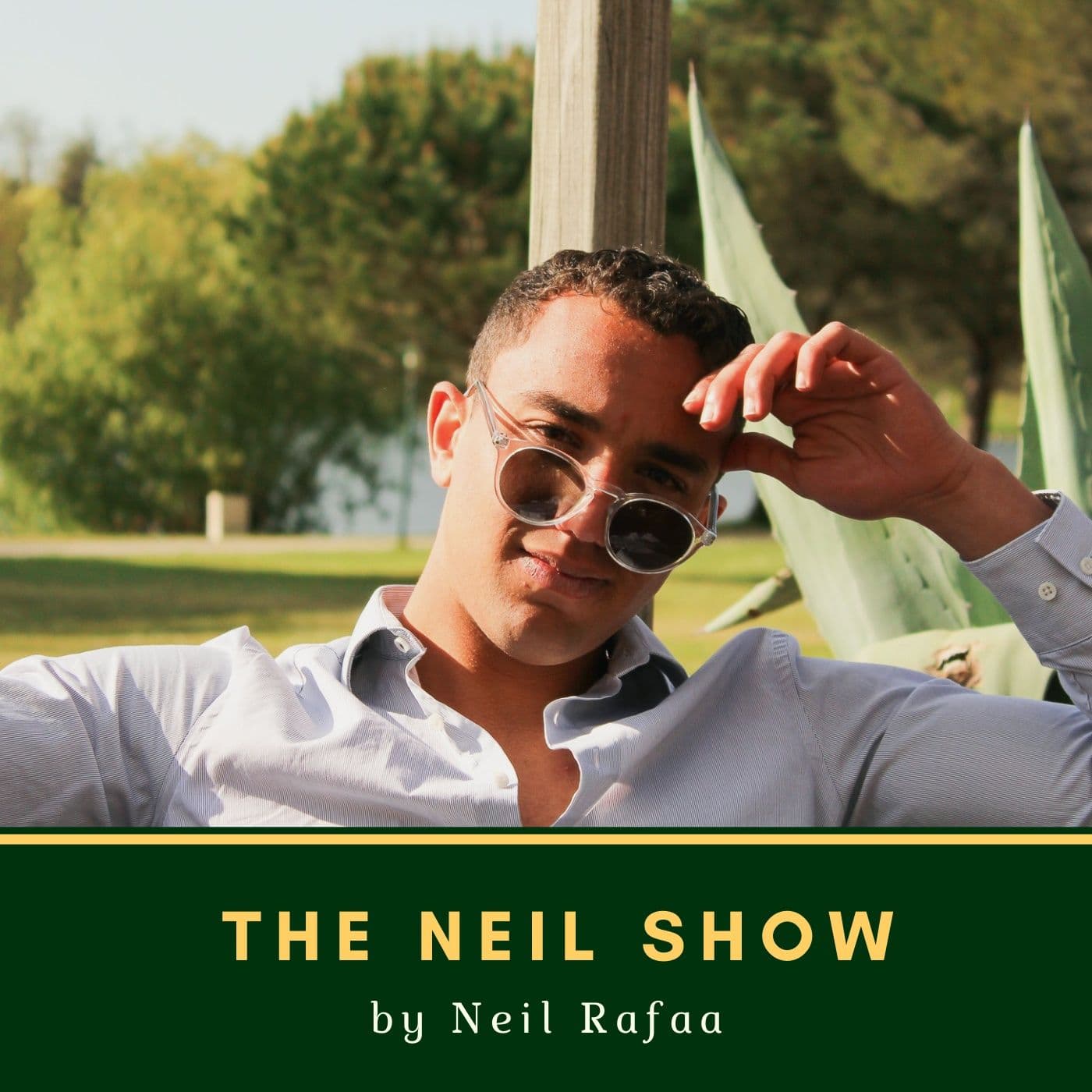 Neil Show - Podcasts