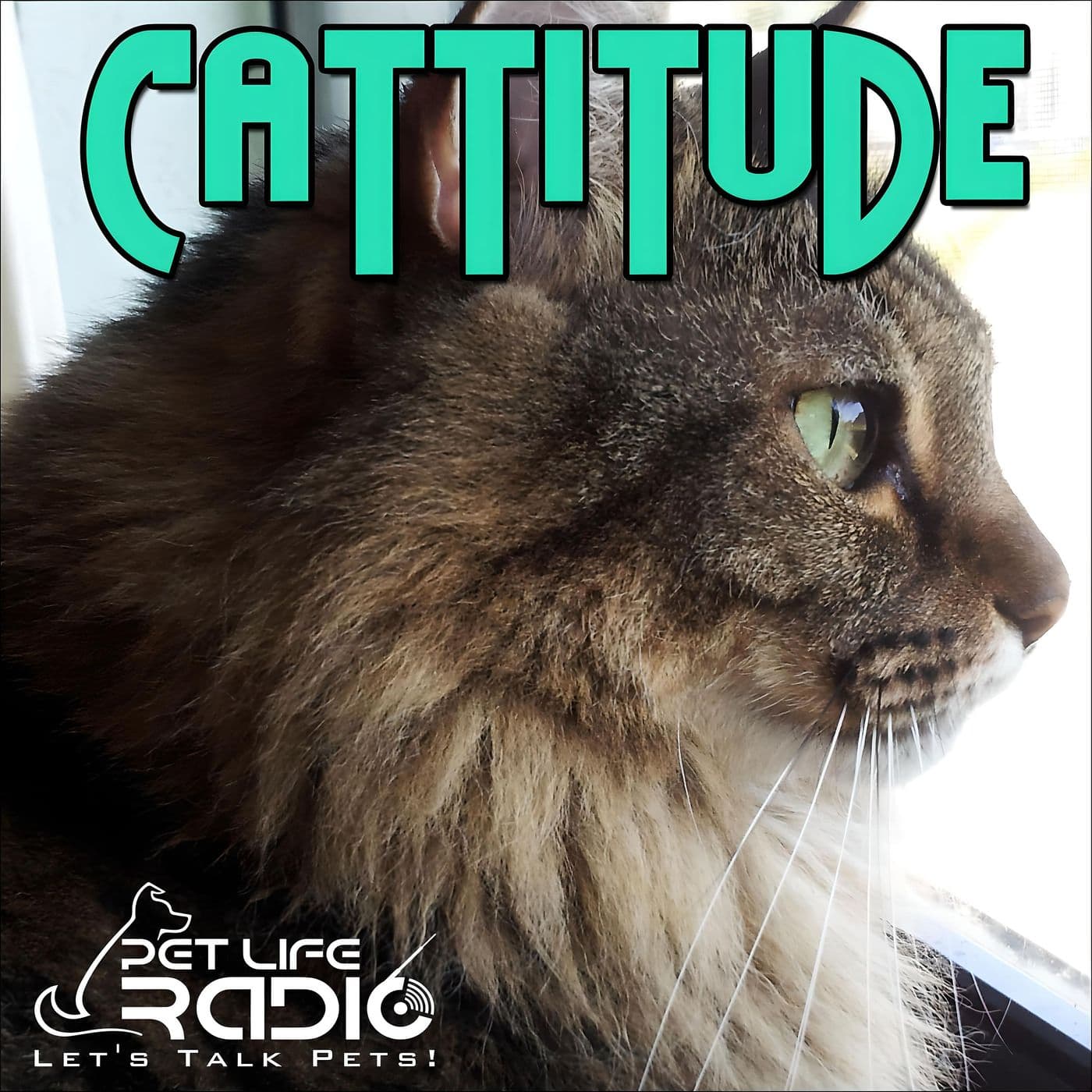 Cattitude - The #1 Cat Podcast - Podcasts