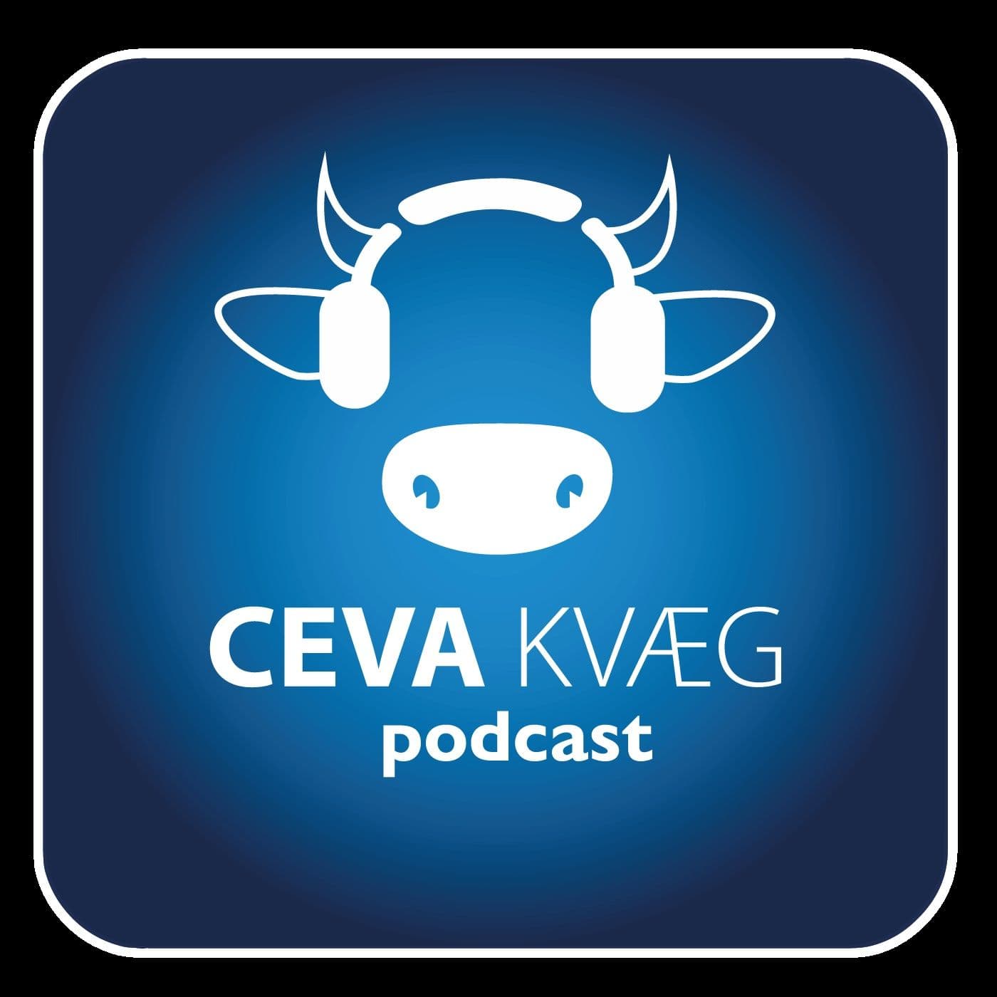 CEVA KVÆG - Podcasts