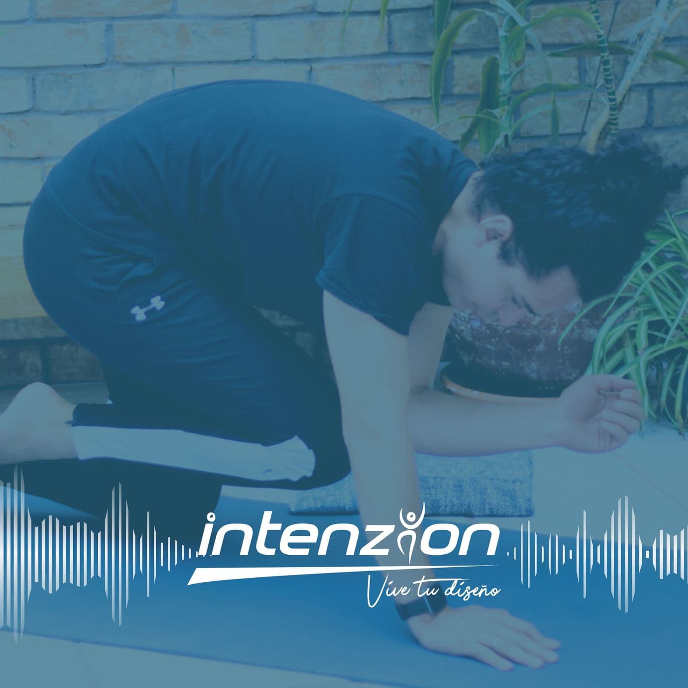 Intenzion - Podcasts