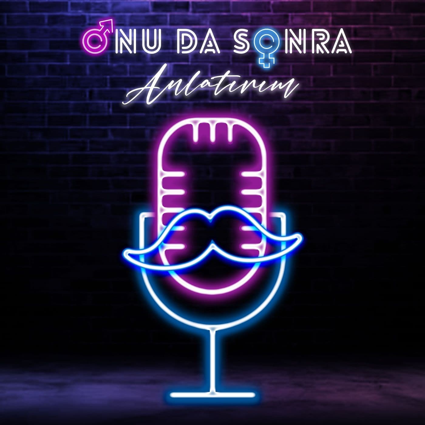 Onu Da Sonra Anlatırım - Podcasts