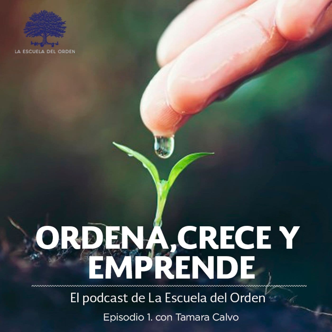 Ordena, crece y emprende - Podcasts